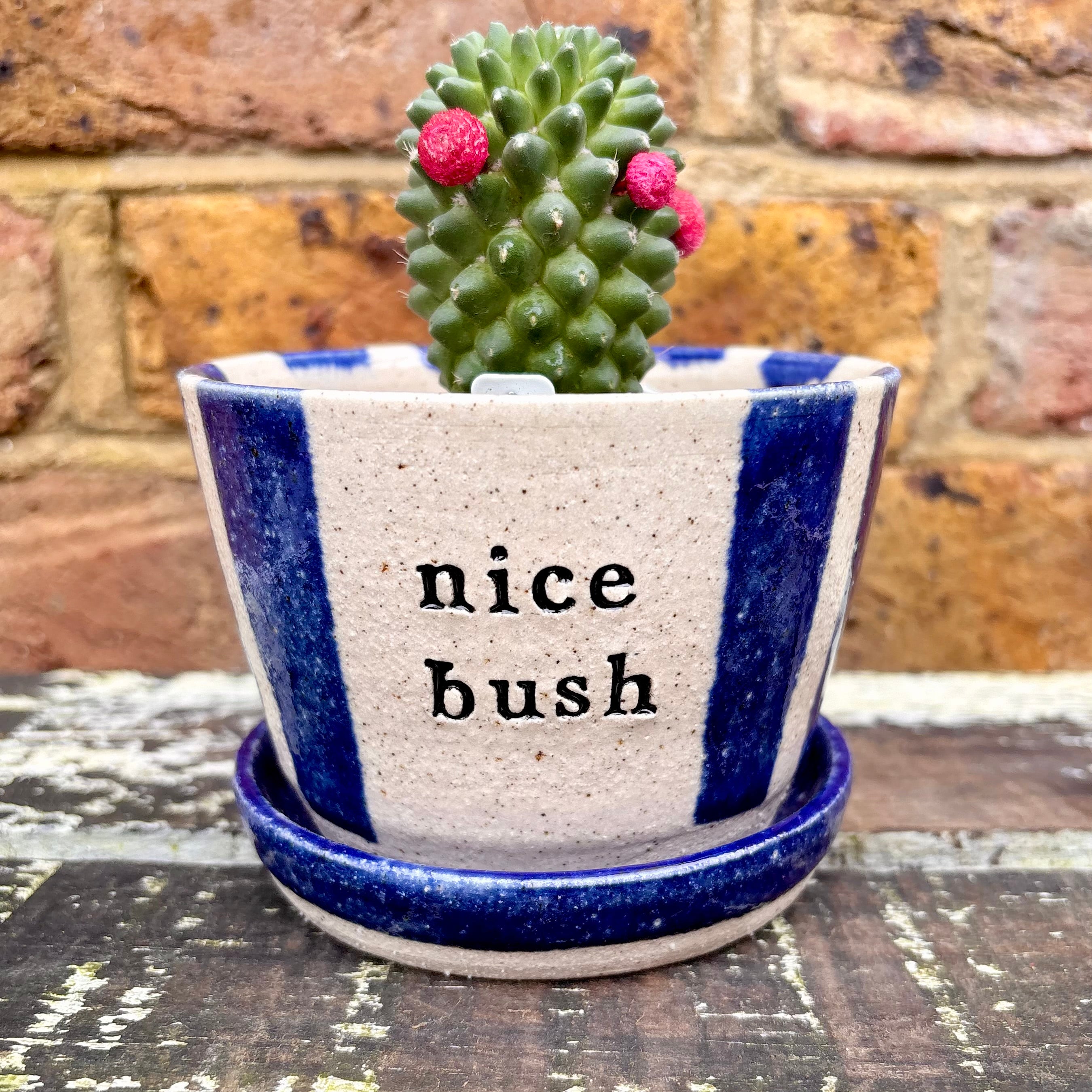 Vases and Planters and all things flowery