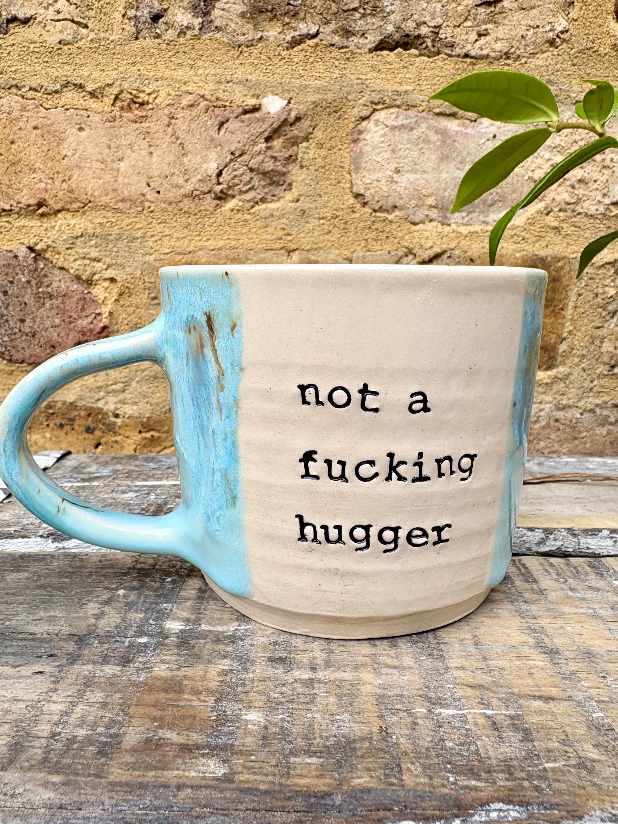 "not a fucking hugger" mug (light blue)