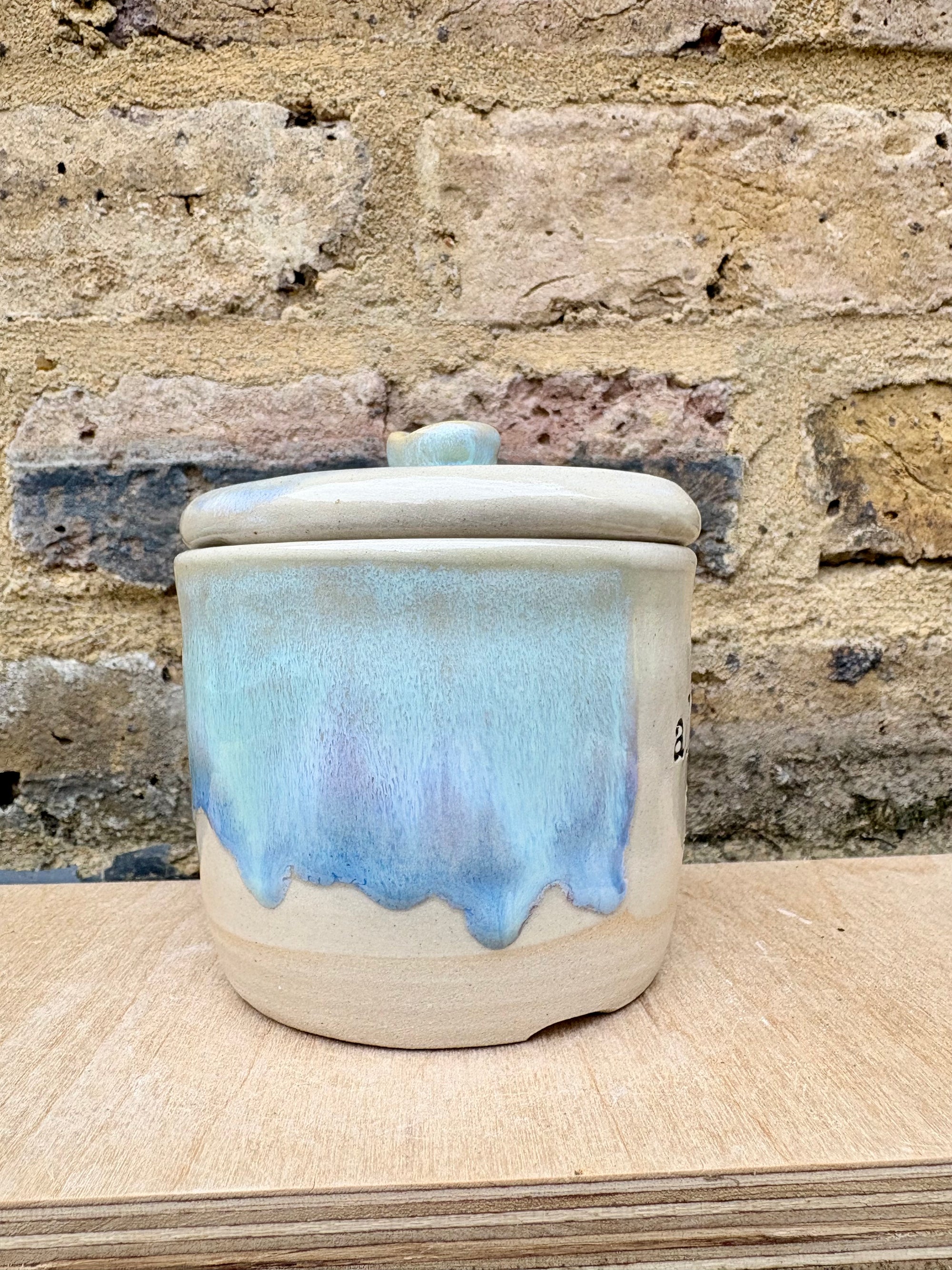 "all the drugs live here" lidded pot (oyster blue)