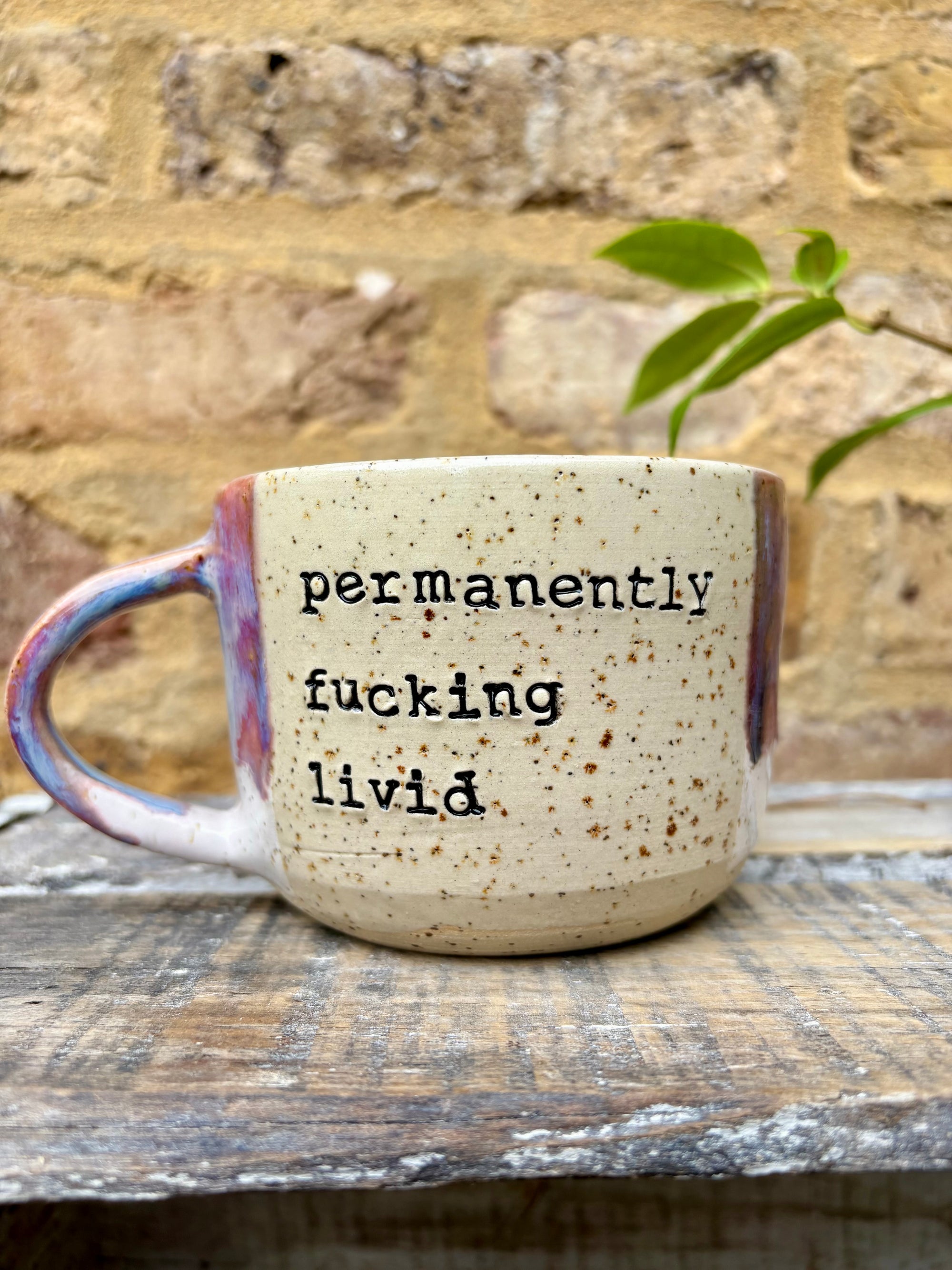 “permanently fucking livid” mug (purple)