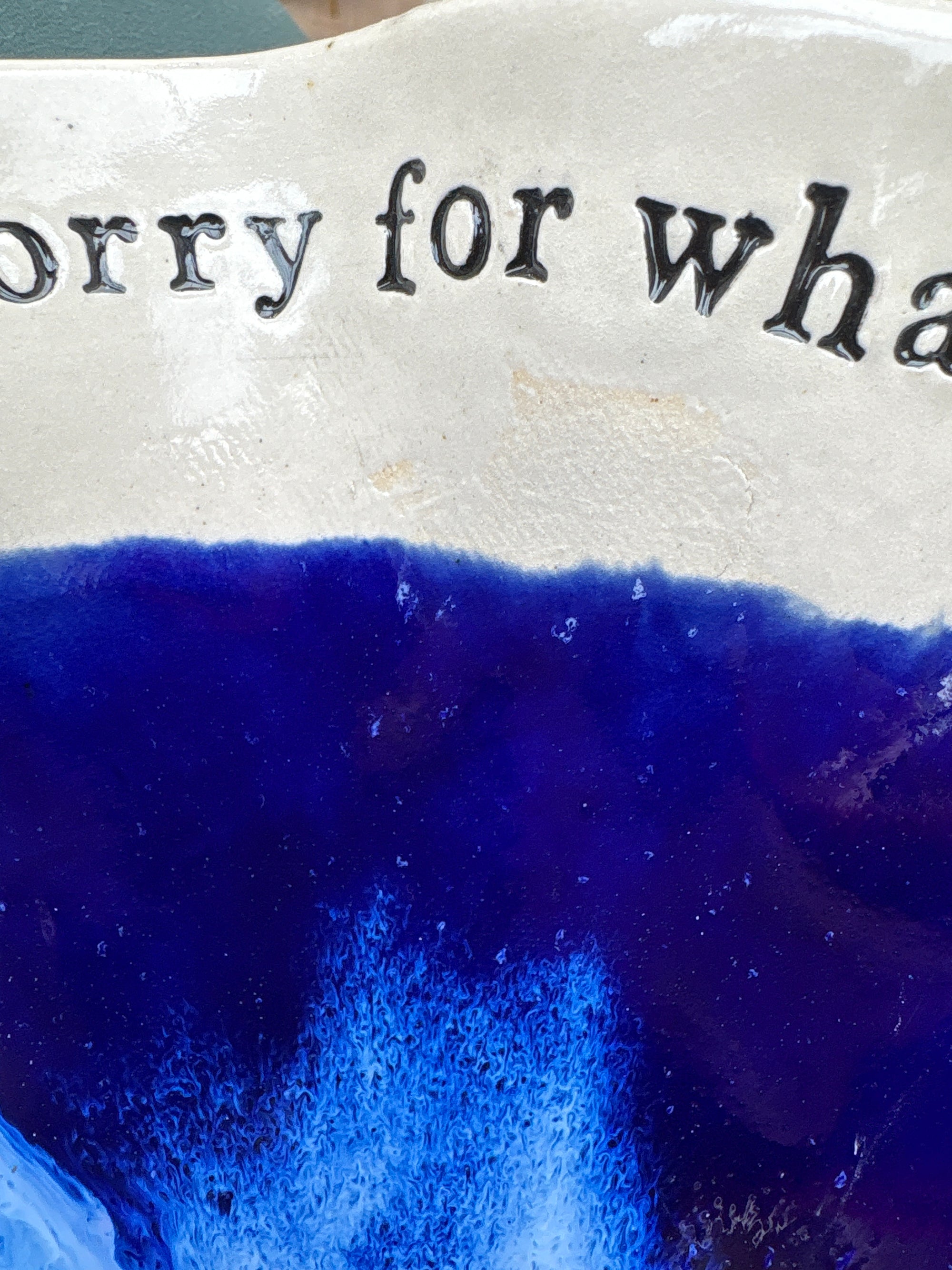 "I'm sorry for what I said when I was hungry" bowl (Ocean)