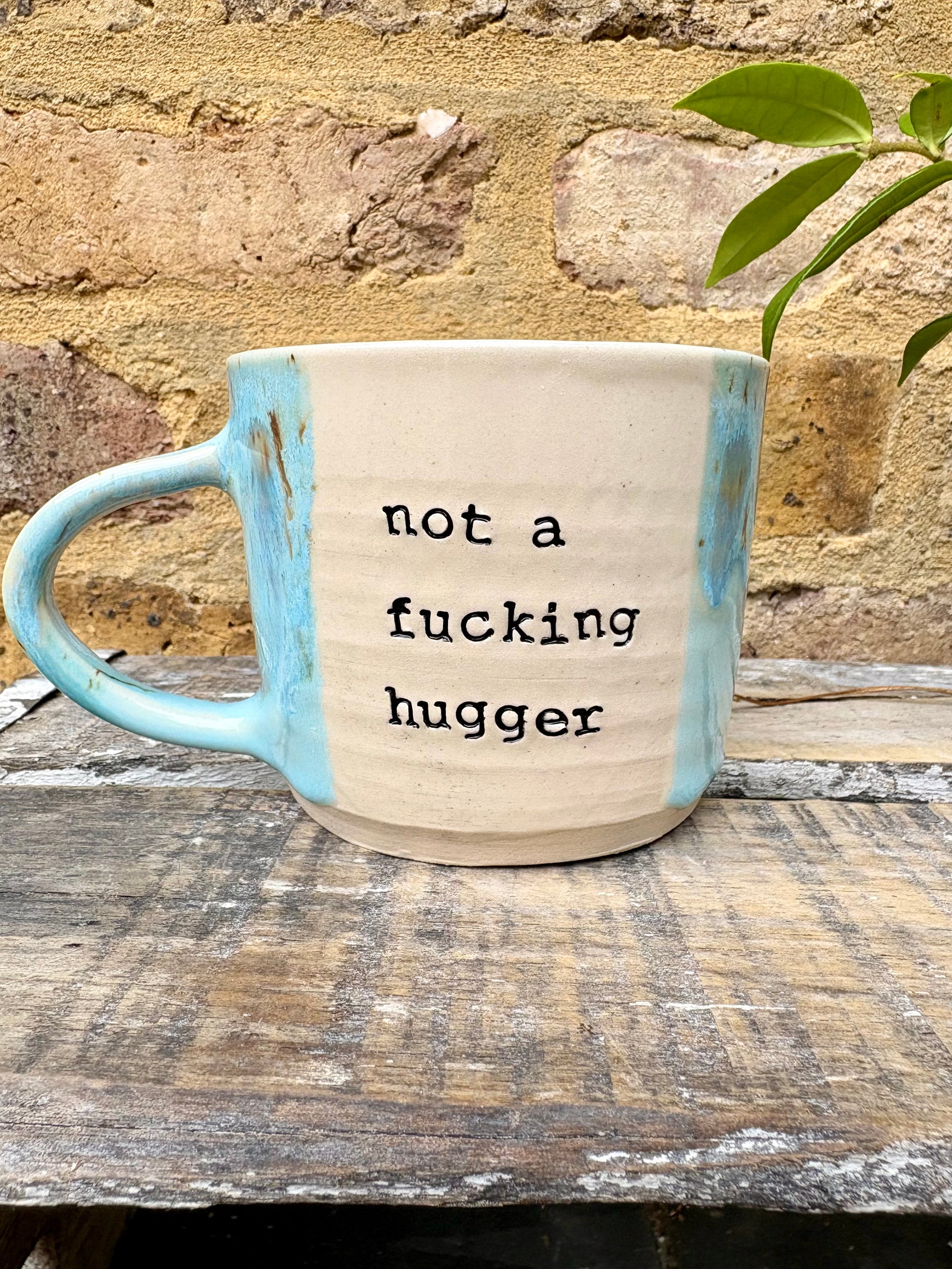 "not a fucking hugger" mug (light blue)