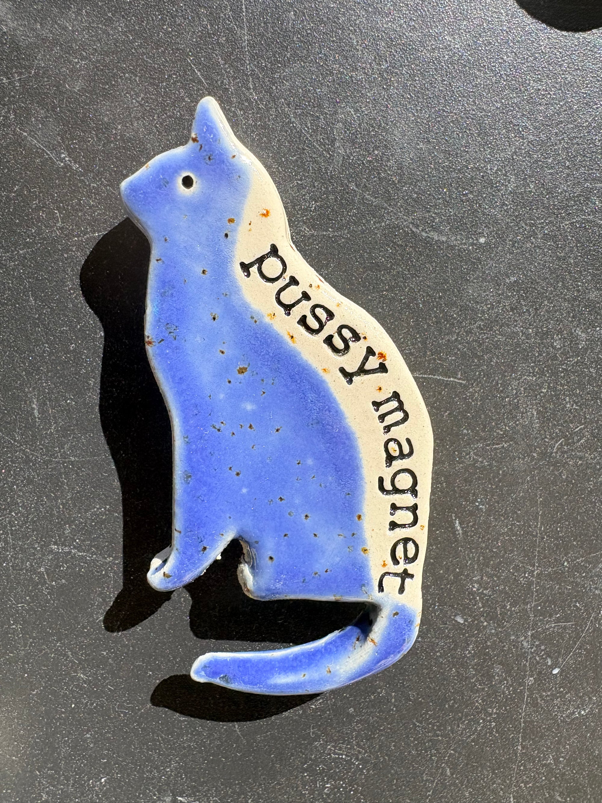 Pussy Magnet (blue)