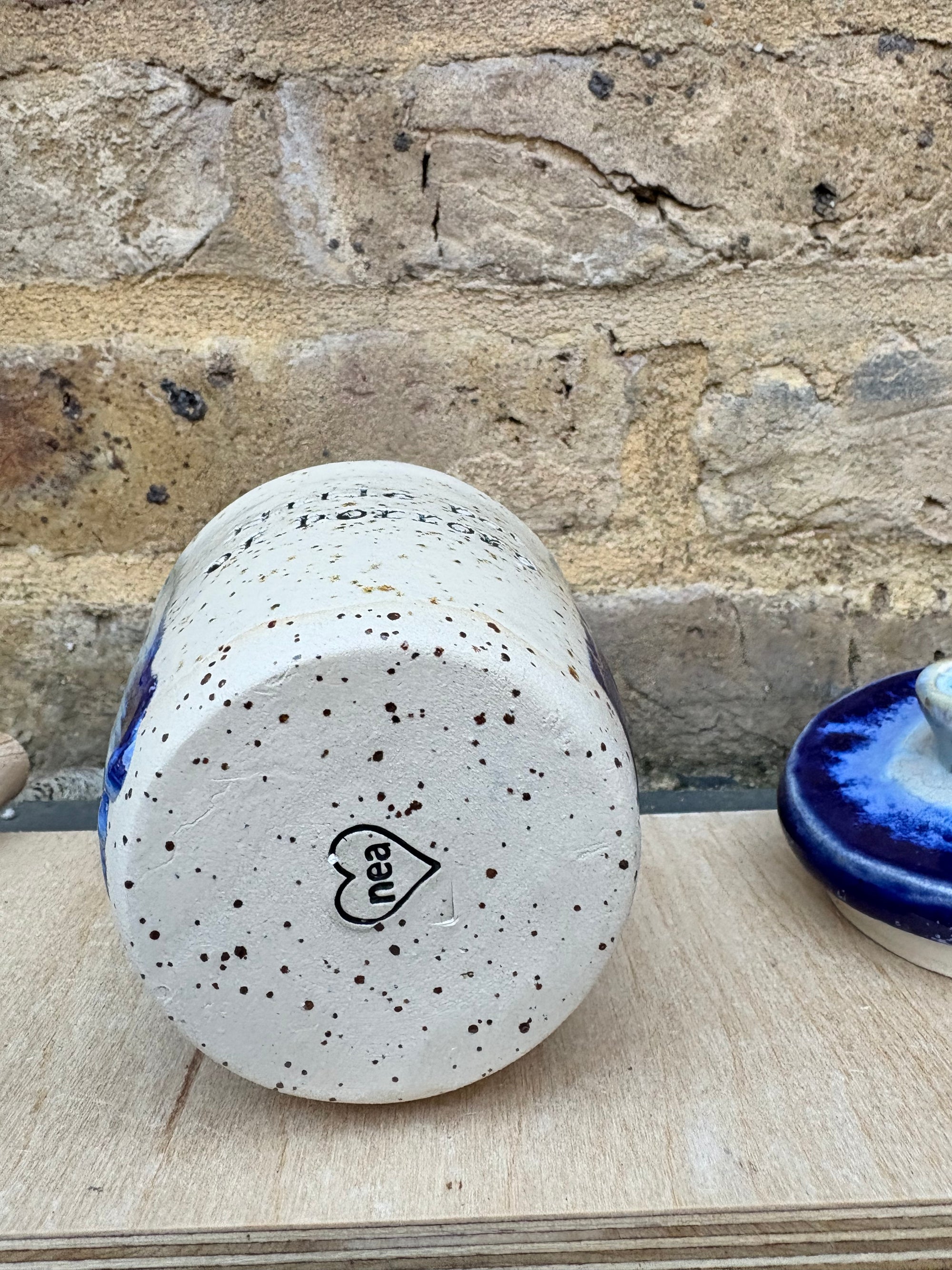 “little pot of horrors" lidded pot (blue night sky)