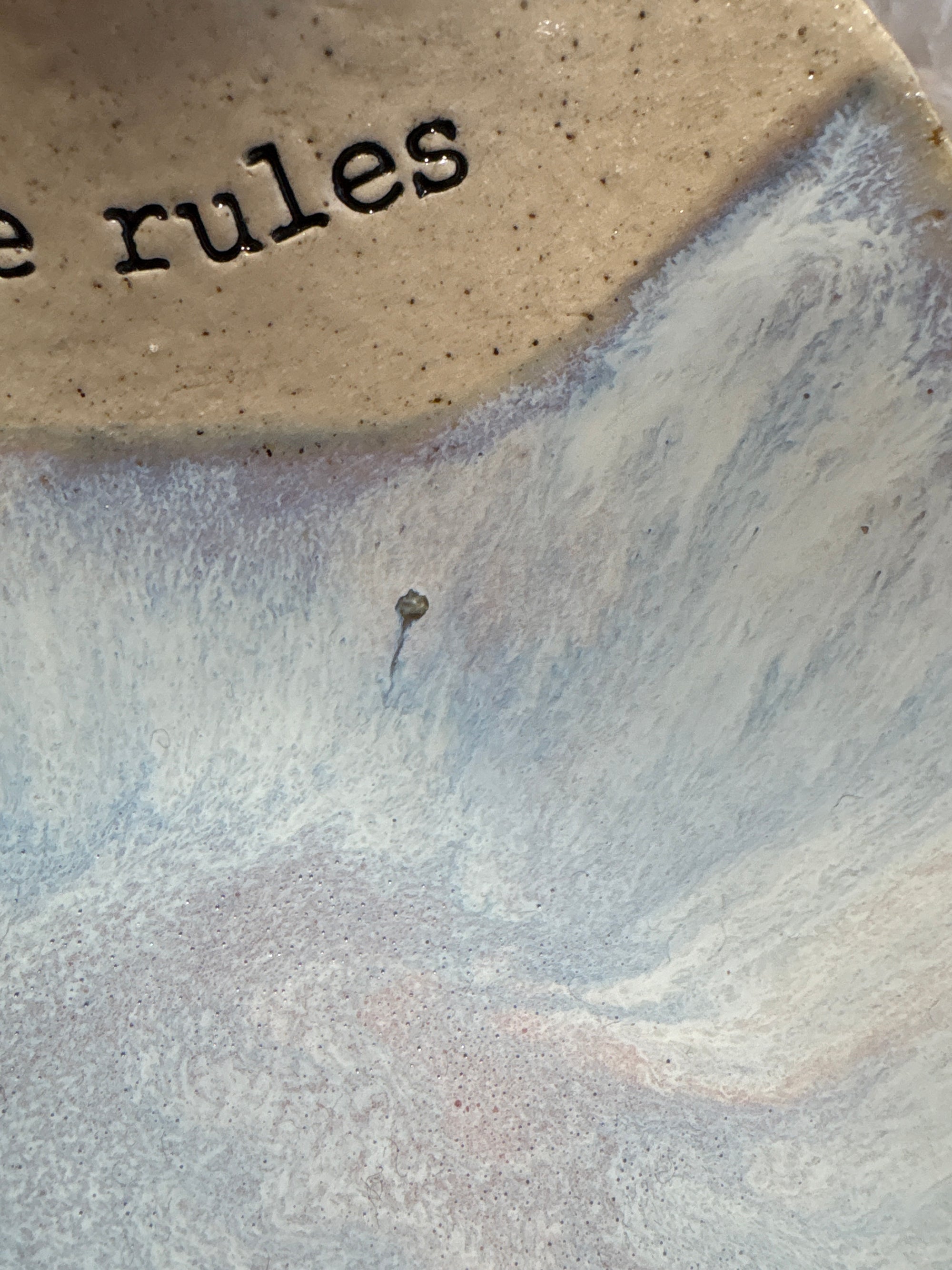 "this is our place, we make the rules" handmade ceramic bowl