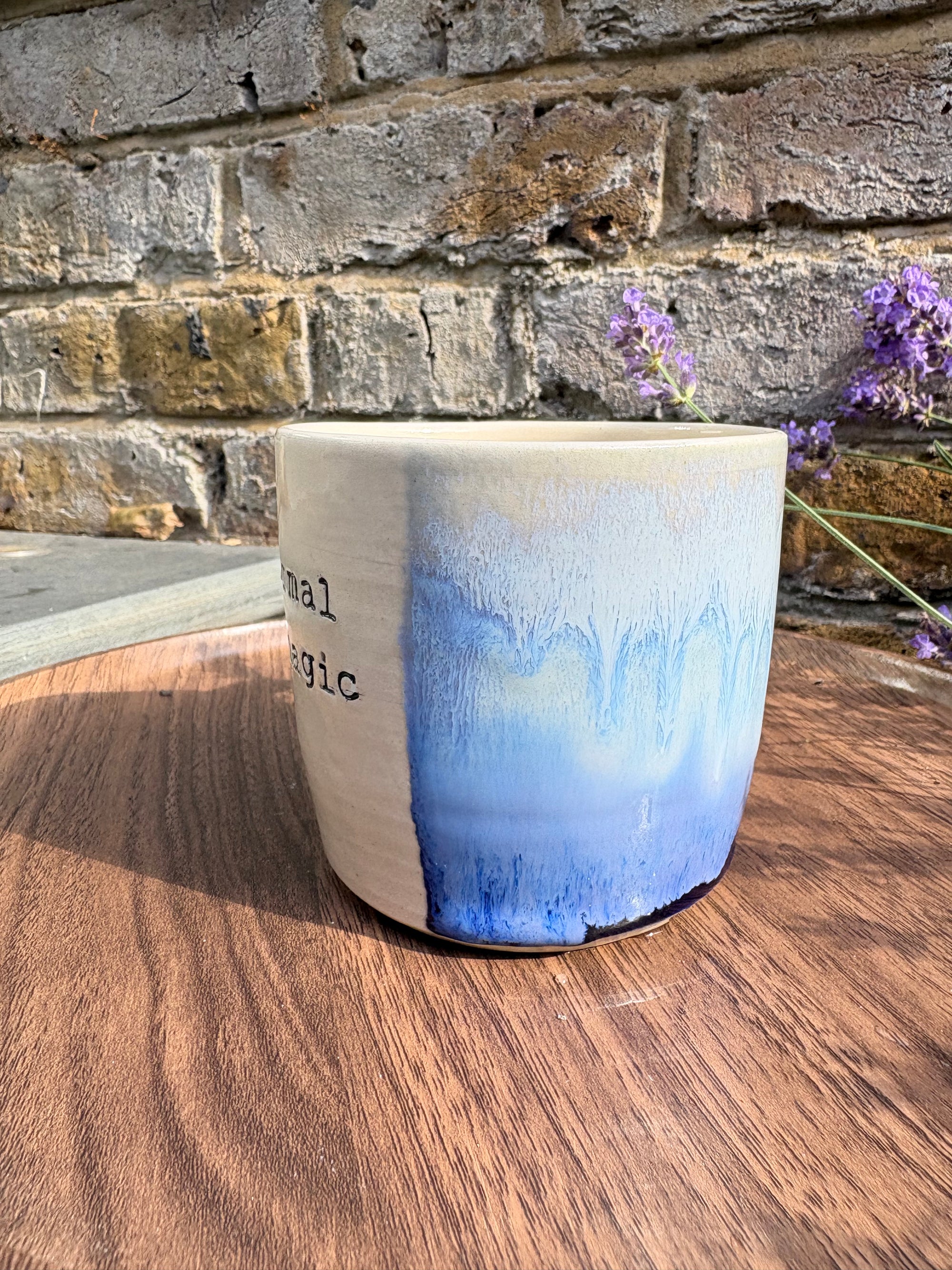 “fuck normal, i want magic" mug (Blues)