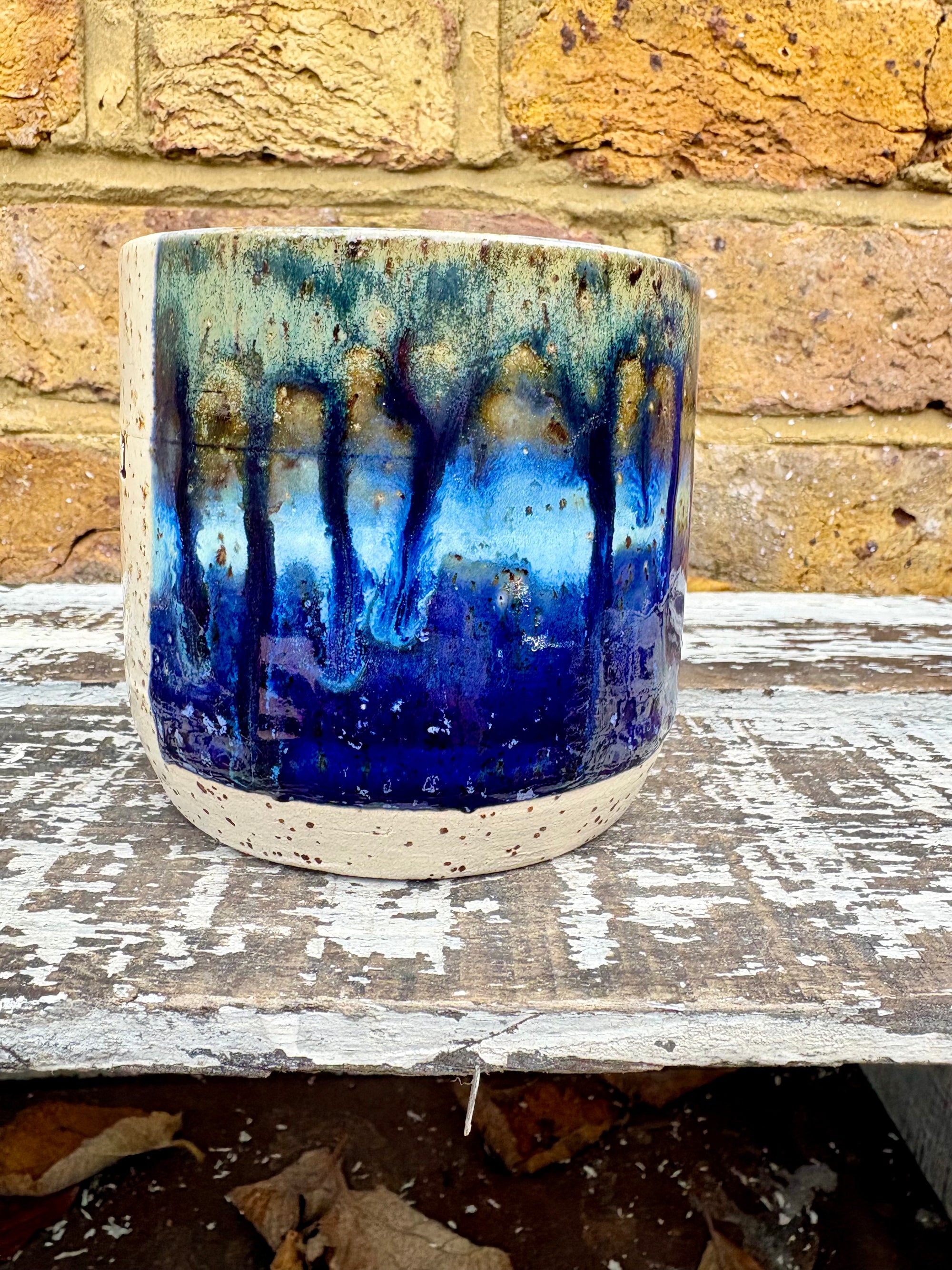 "bellend fuckwit dickwad dipshit wanker" mug (Antique Blues)