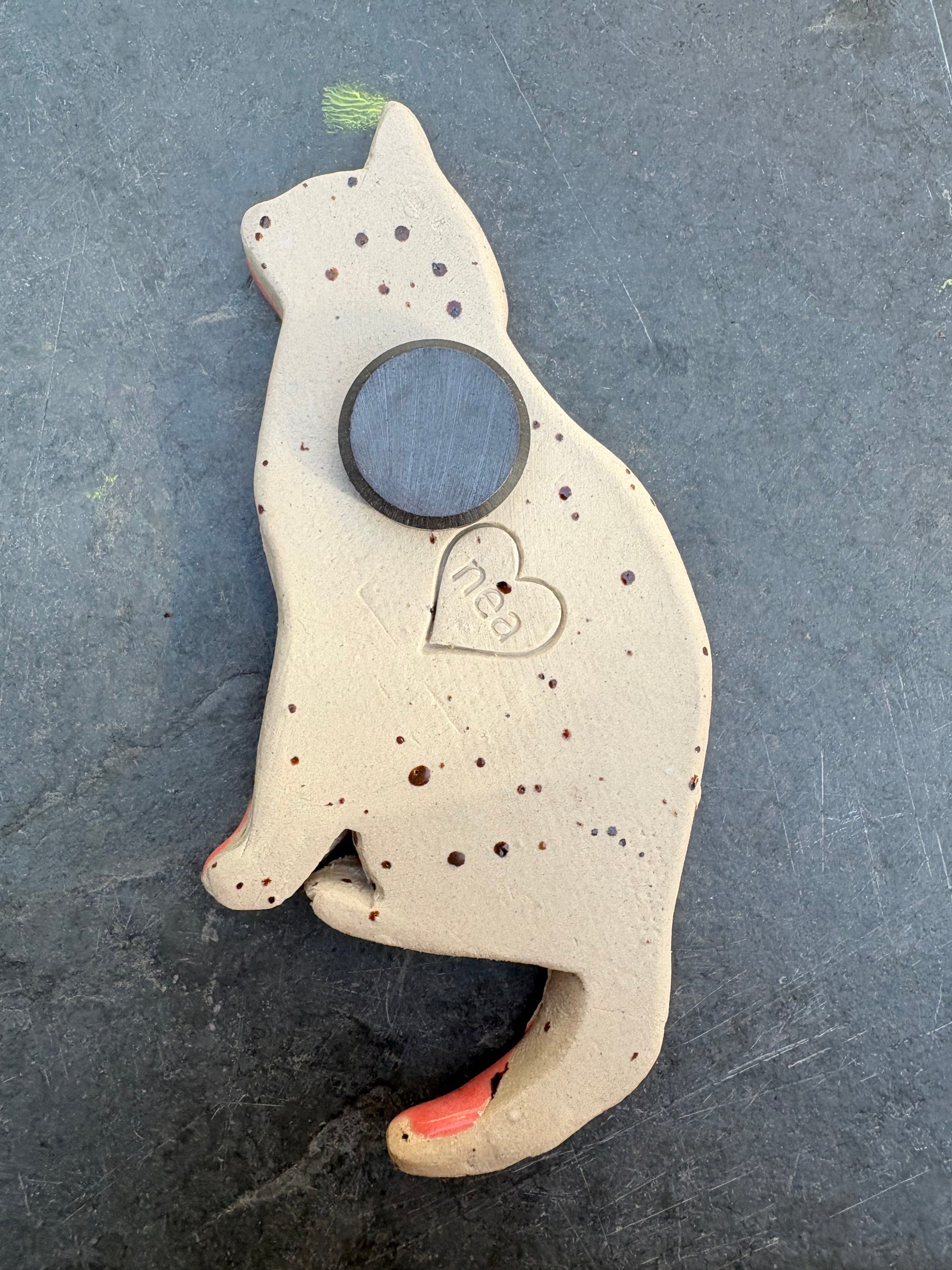 Pussy Magnet (coral pink)