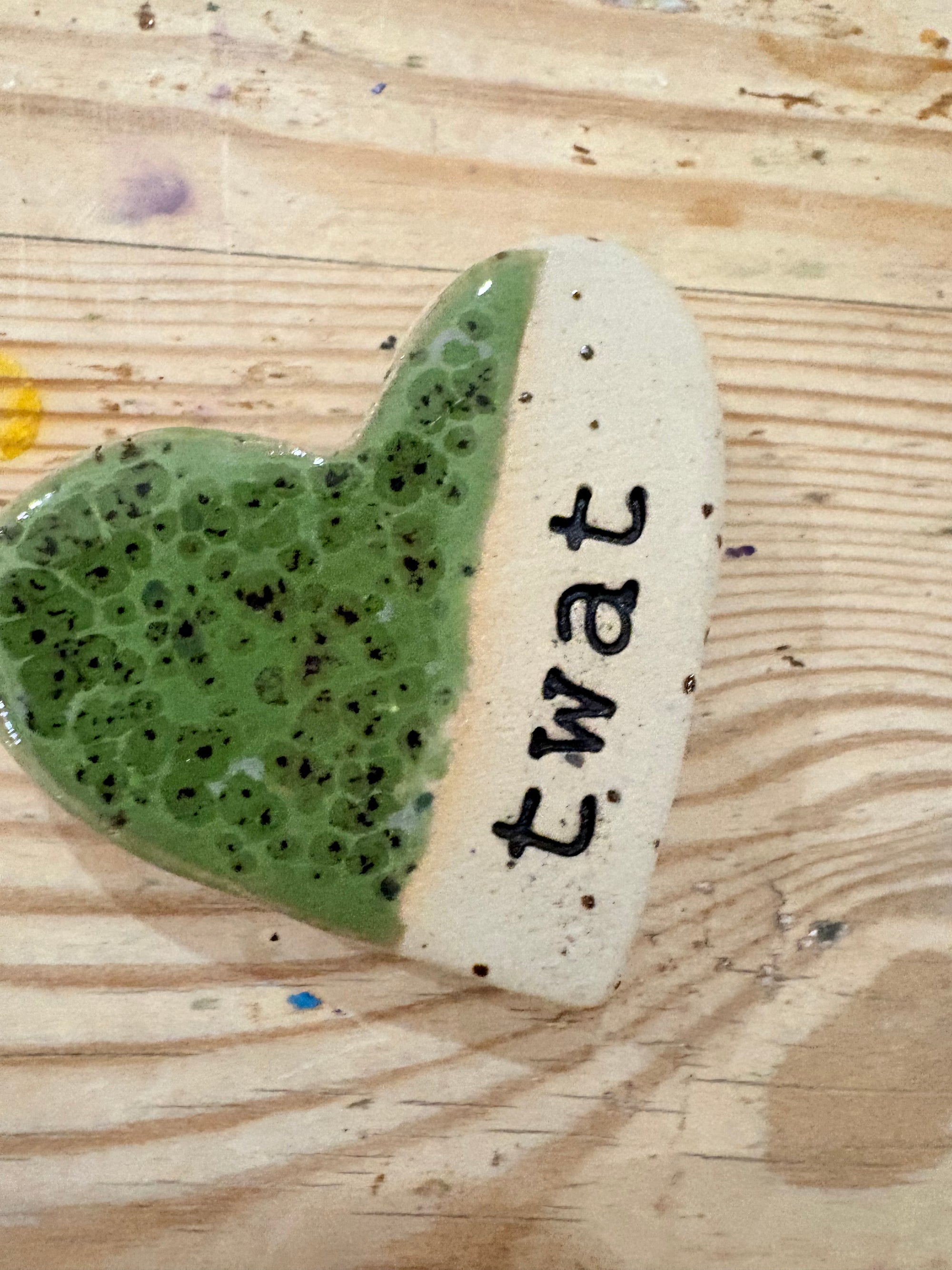 Twat Magnet Set (5 small heart shaped magnets)