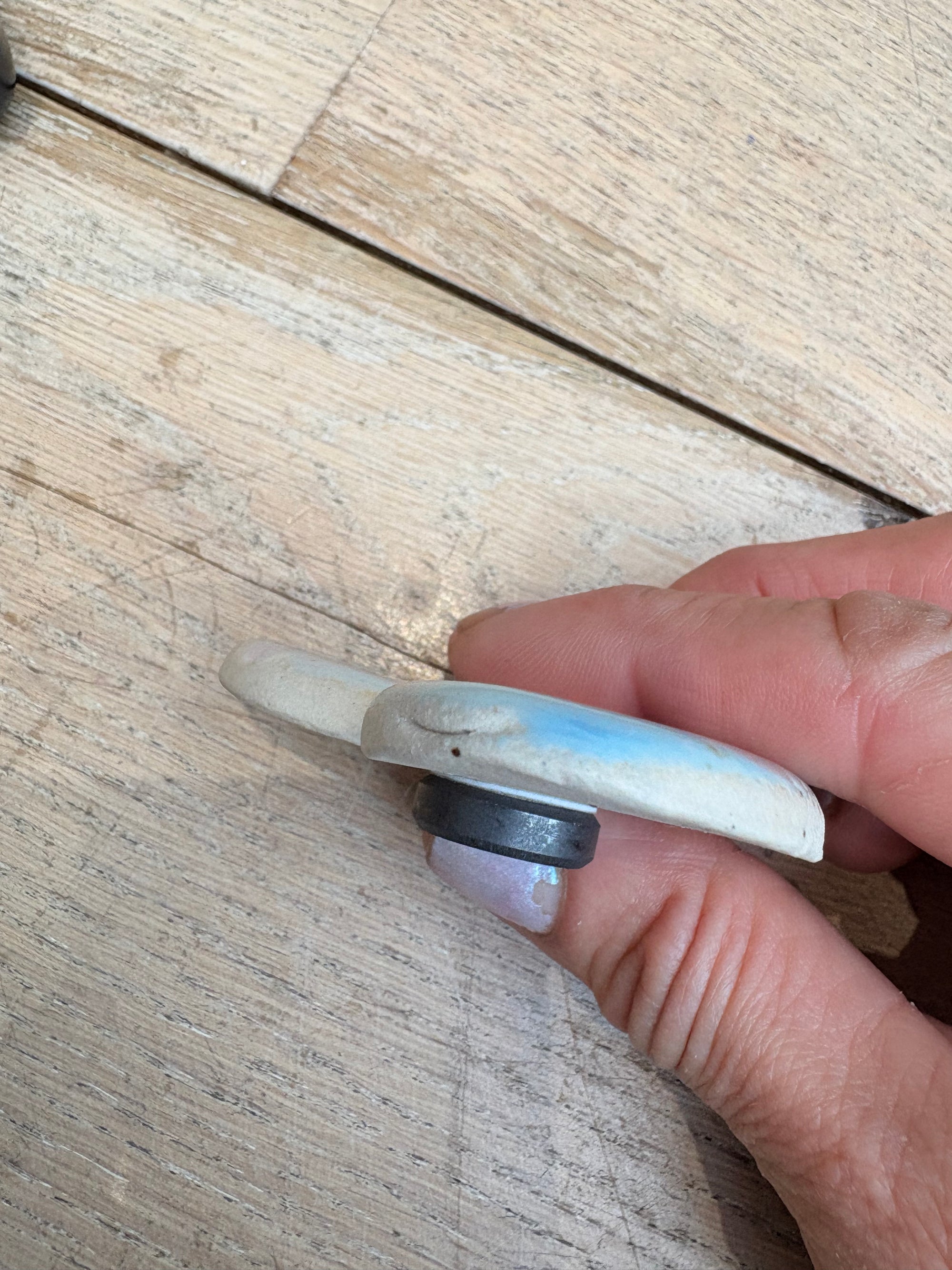 Fuckwit Magnet (blue/pink)