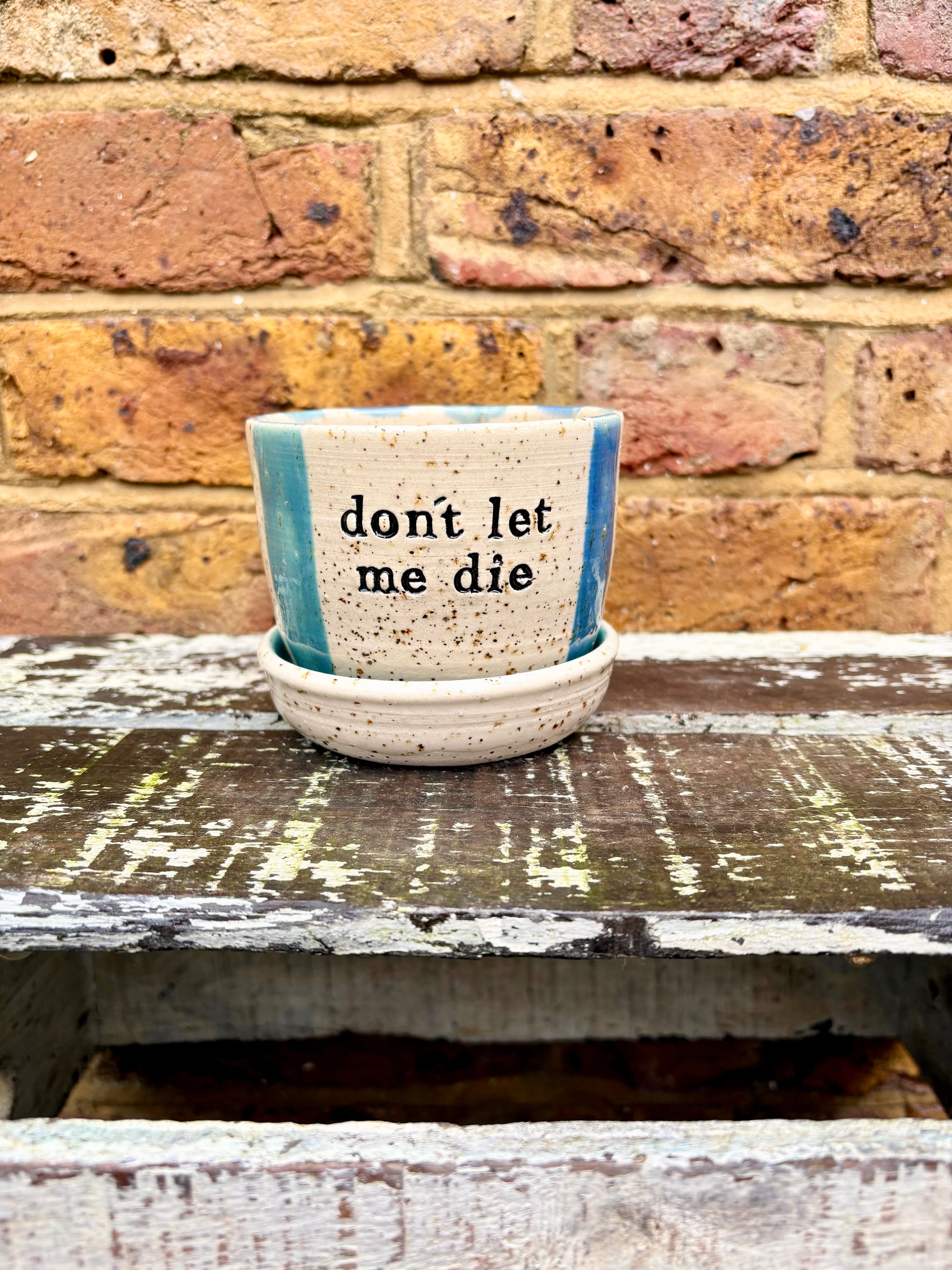 "don't let me die" planter with matching dish (blue stripe)