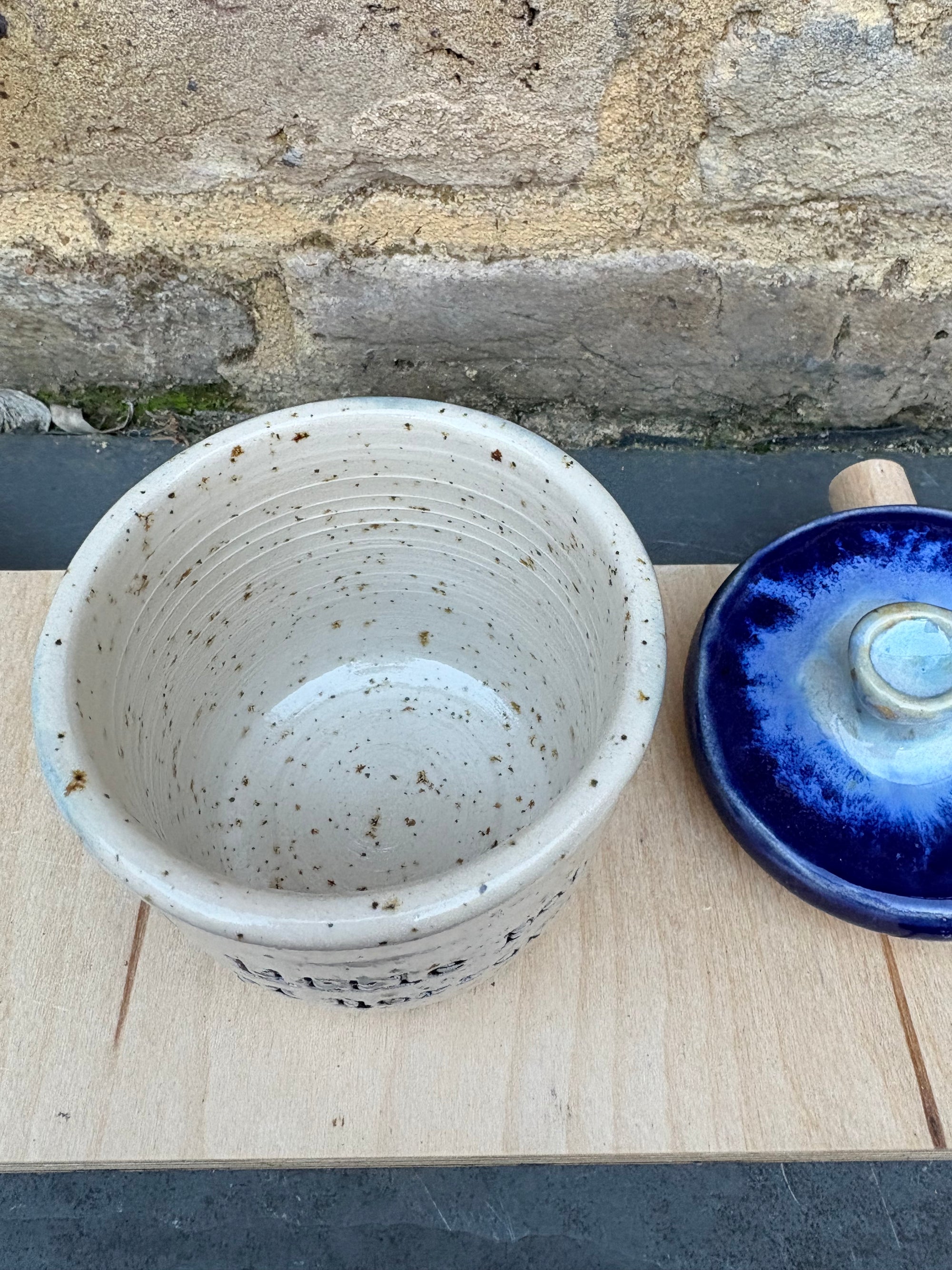 “little pot of horrors" lidded pot (blue night sky)