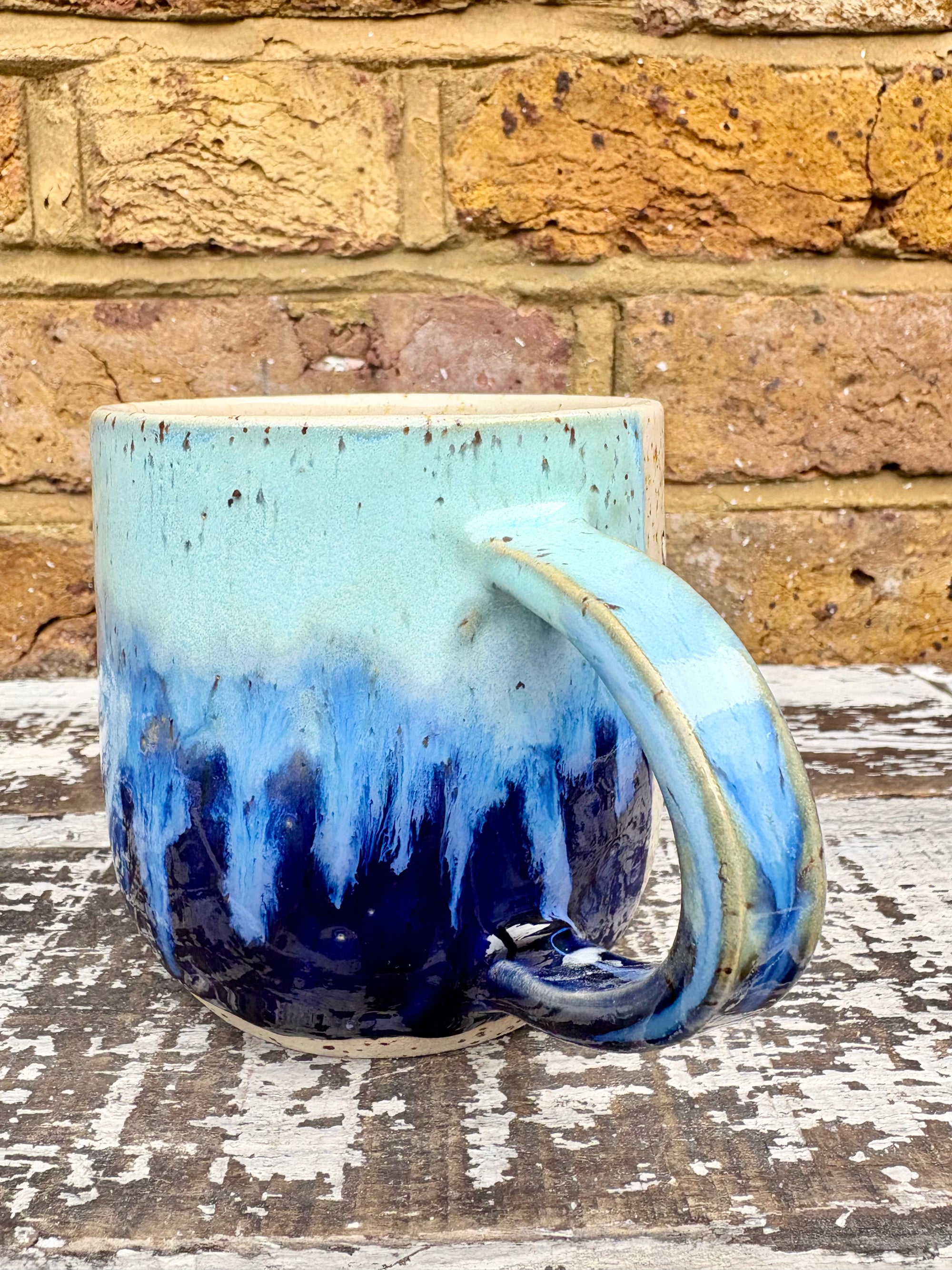 "cute but bat shit" mug