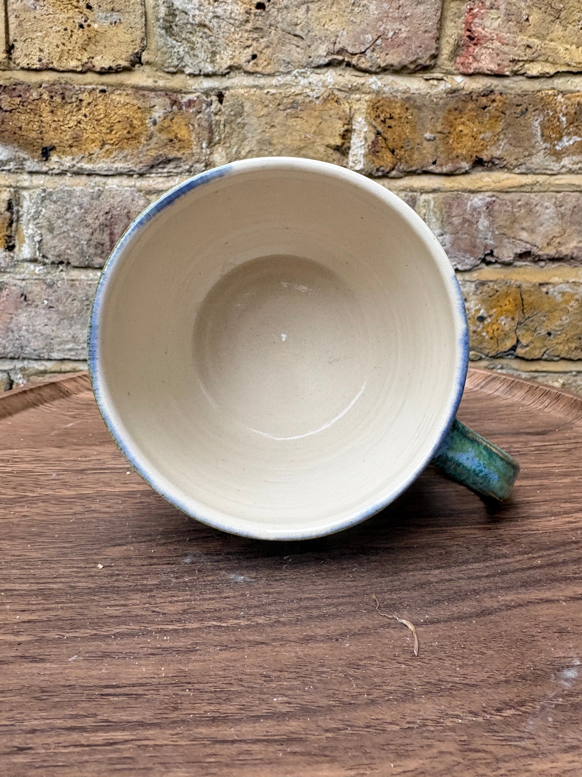 “chuck it in the fuck it bucket" mug (blues/ greens)
