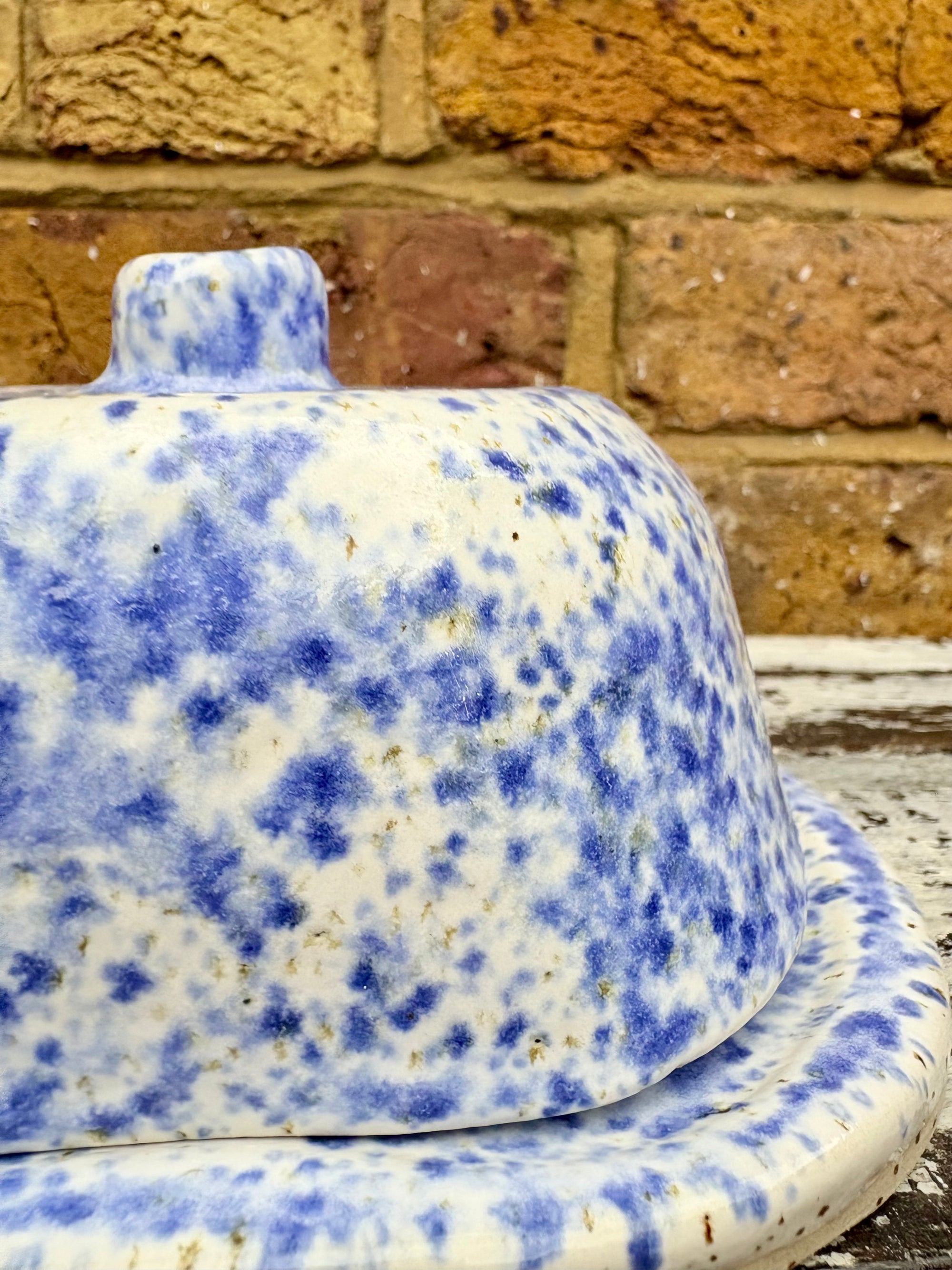 Butter Dish (butter slut, speckle blue)