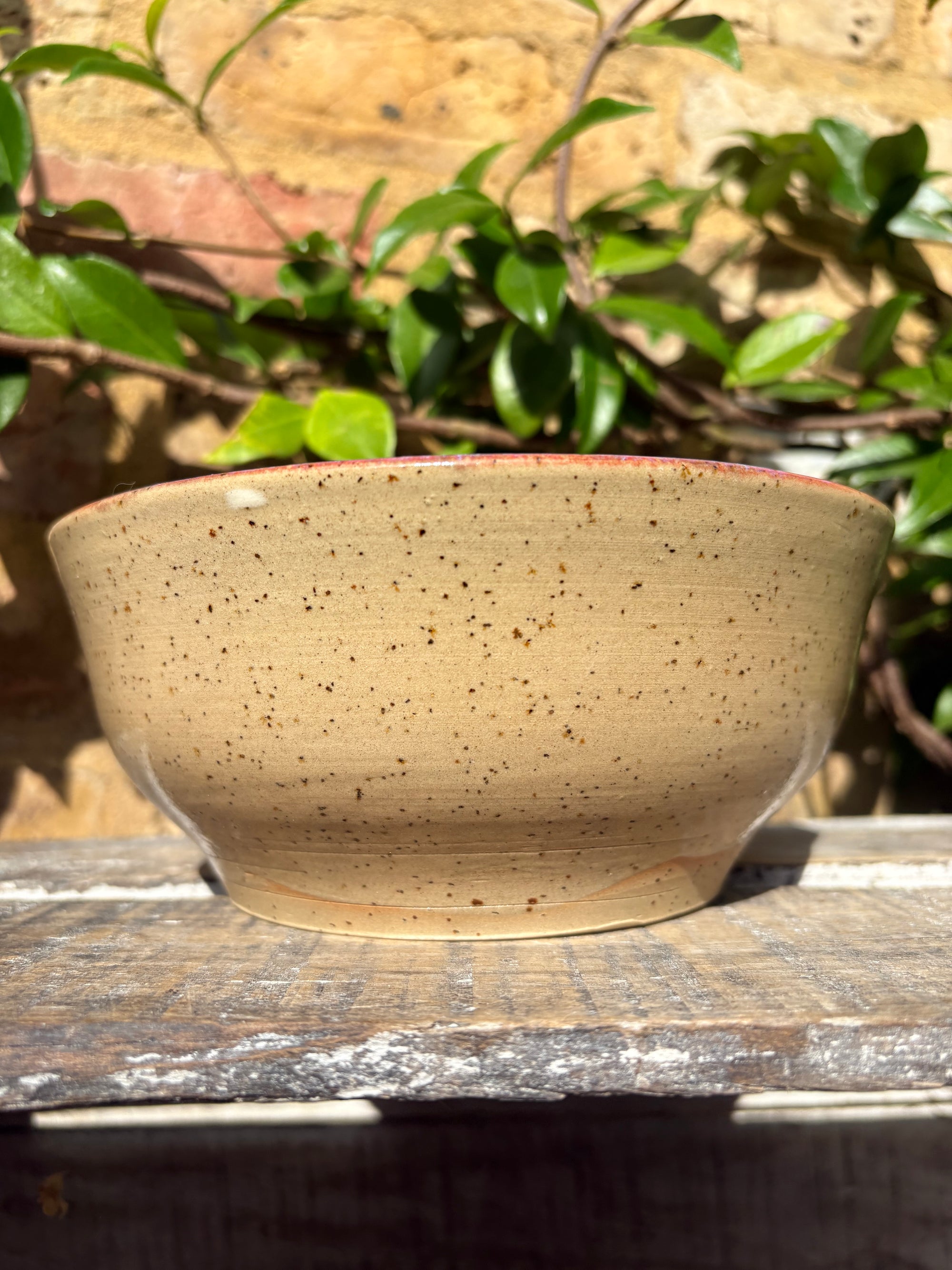 “eat, drink and fuck off by 9pm"  deep round salad/pasta bowl (lilac, flecked clay)