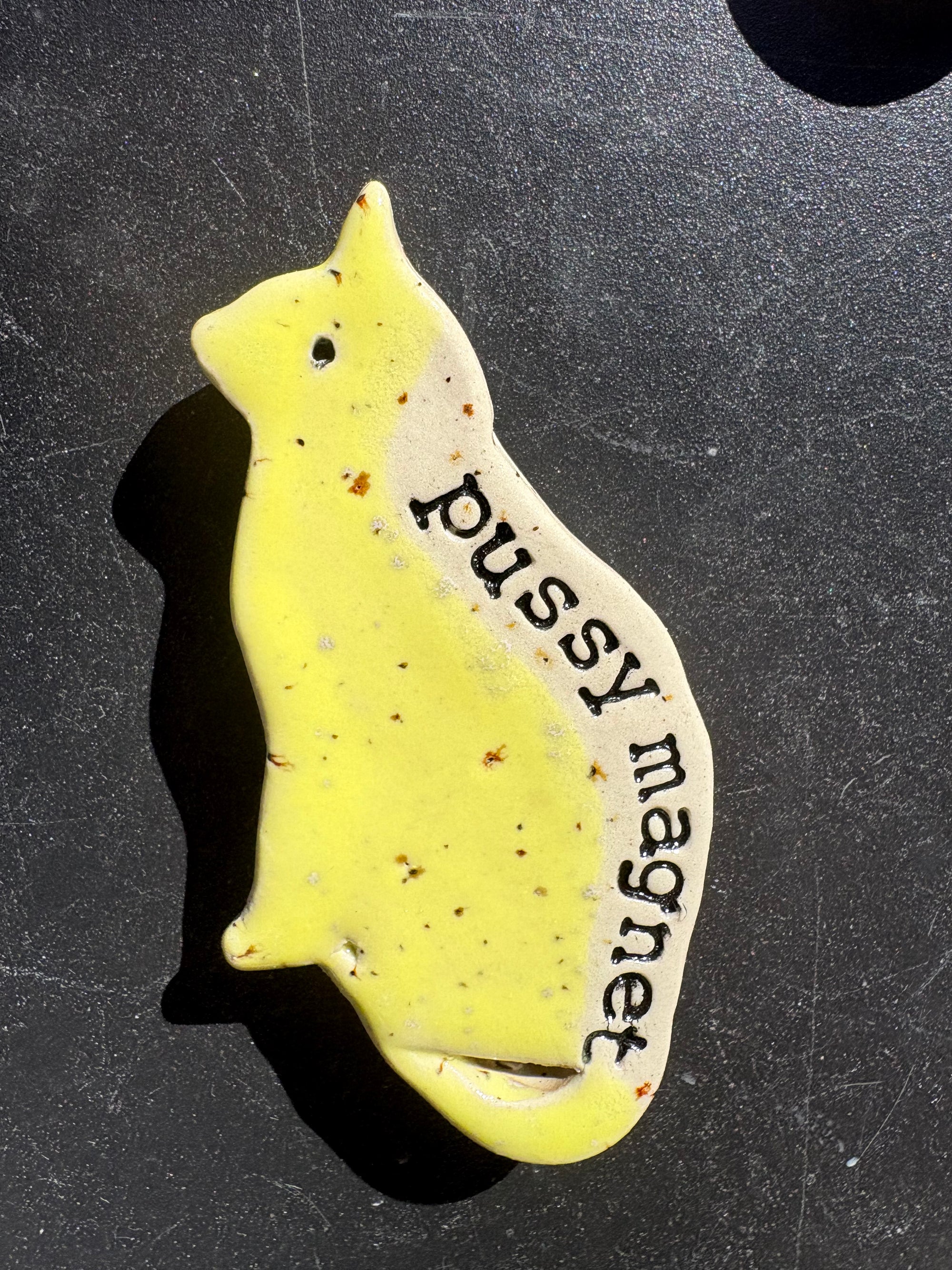Pussy Magnet (yellow)