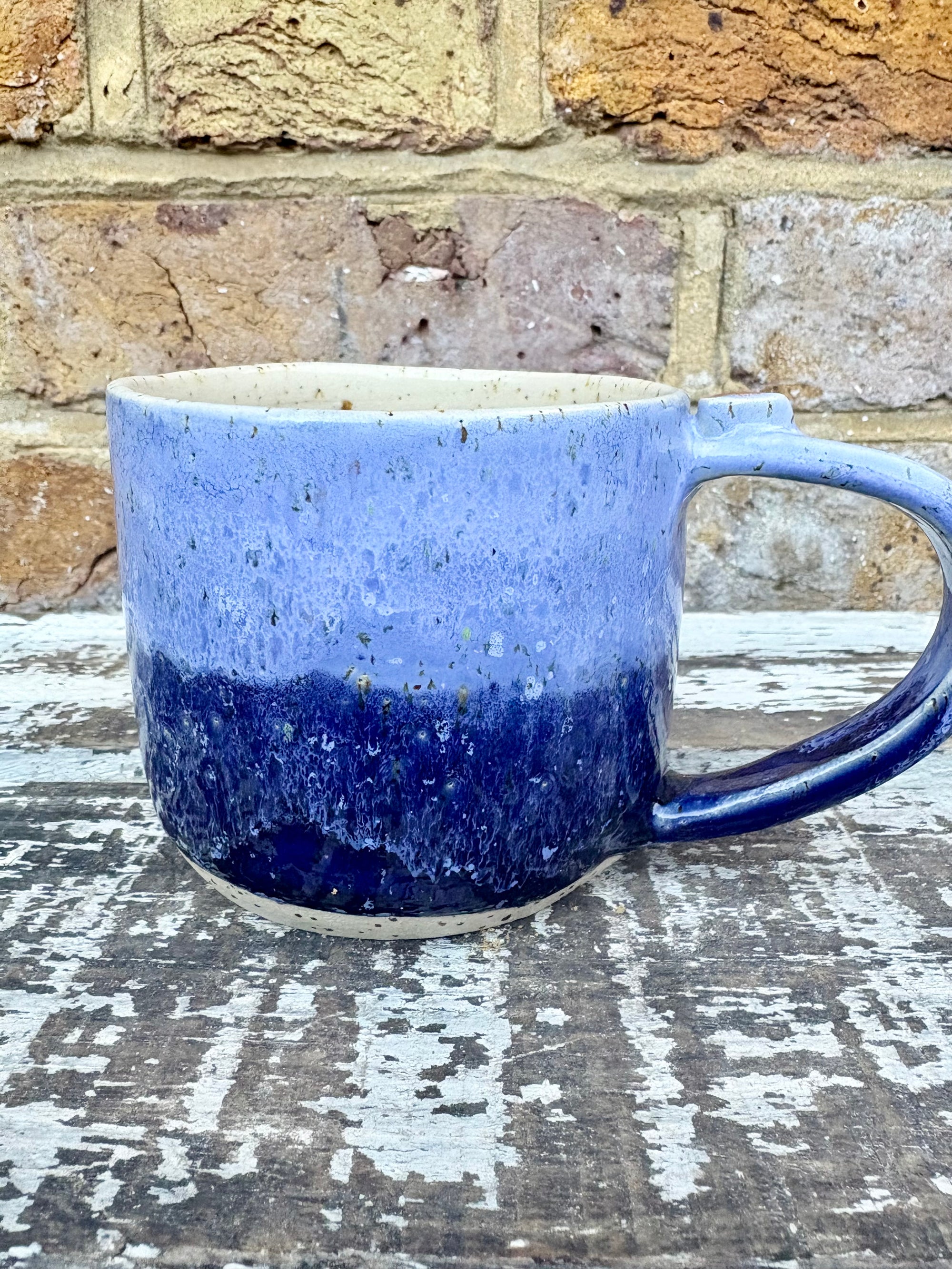 "bellend fuckwit dickwad dipshit wanker" mug (Blues)