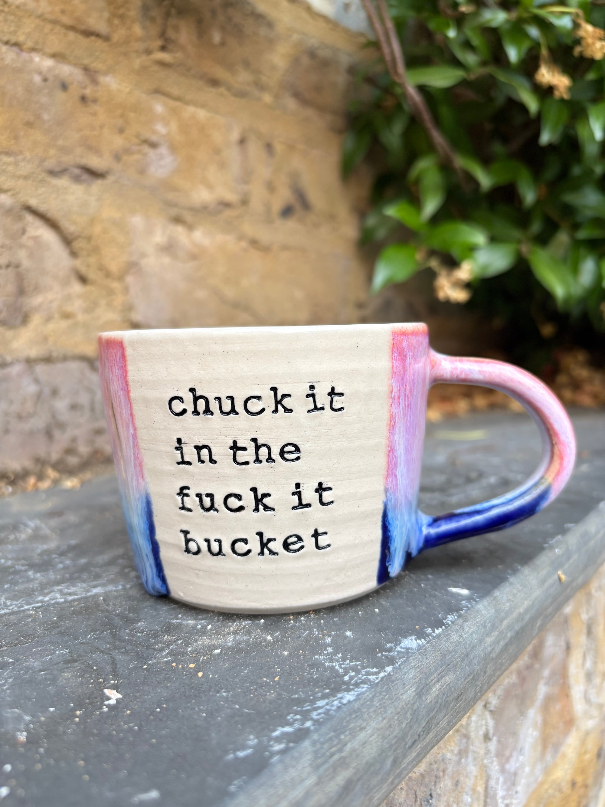 “chuck it in the fuck it bucket" mug (pink/blue, 250ml)