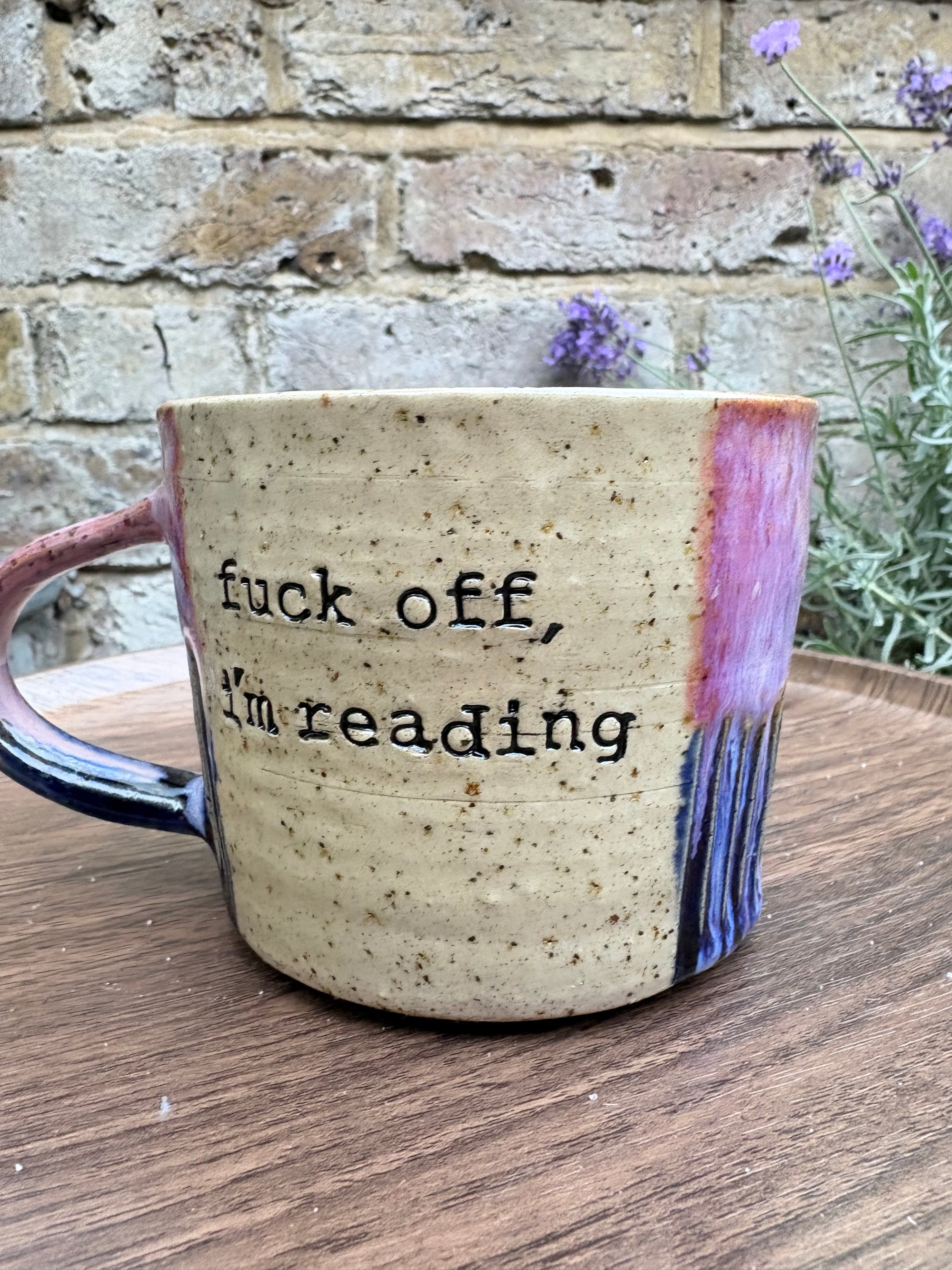 “Fuck off i'm reading" mug (blues/pink)