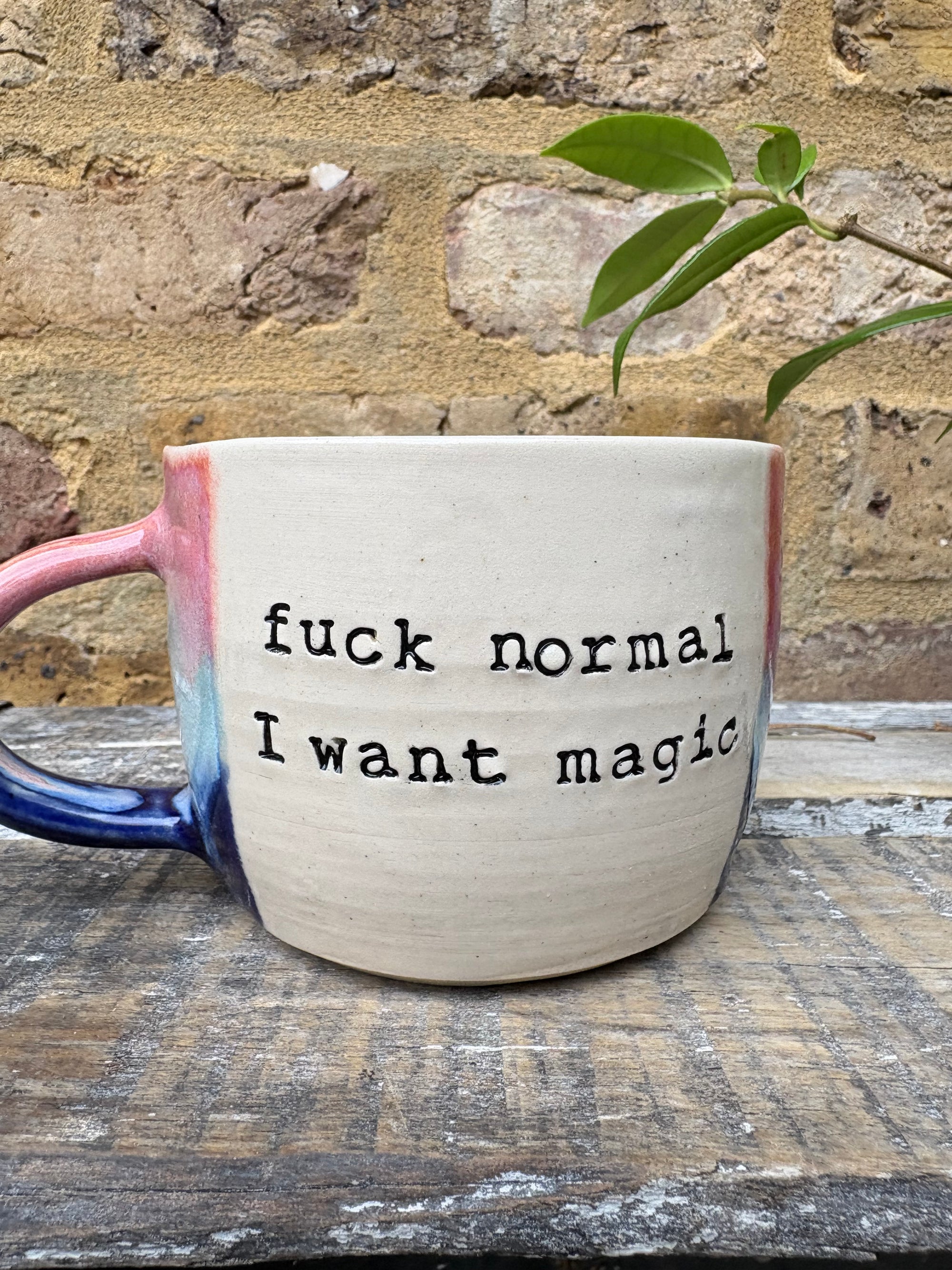“fuck normal, i want magic" mug (Pink/blue)