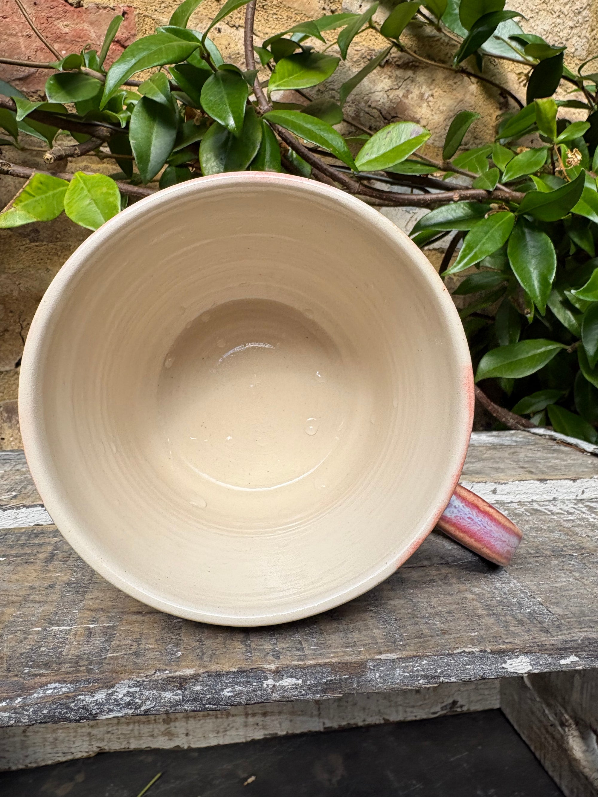 XL “i’m smiling and nodding but i think you’re a twat” mug (Pink/blue)