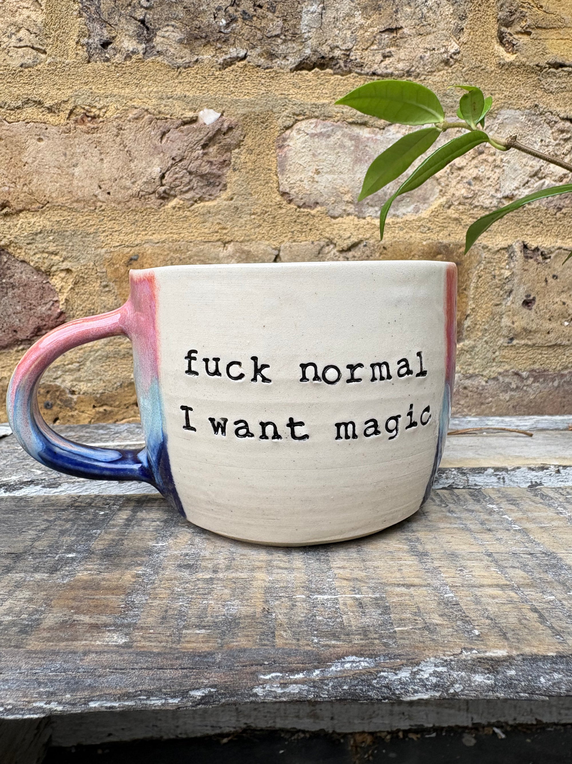 “fuck normal, i want magic" mug (Pink/blue)