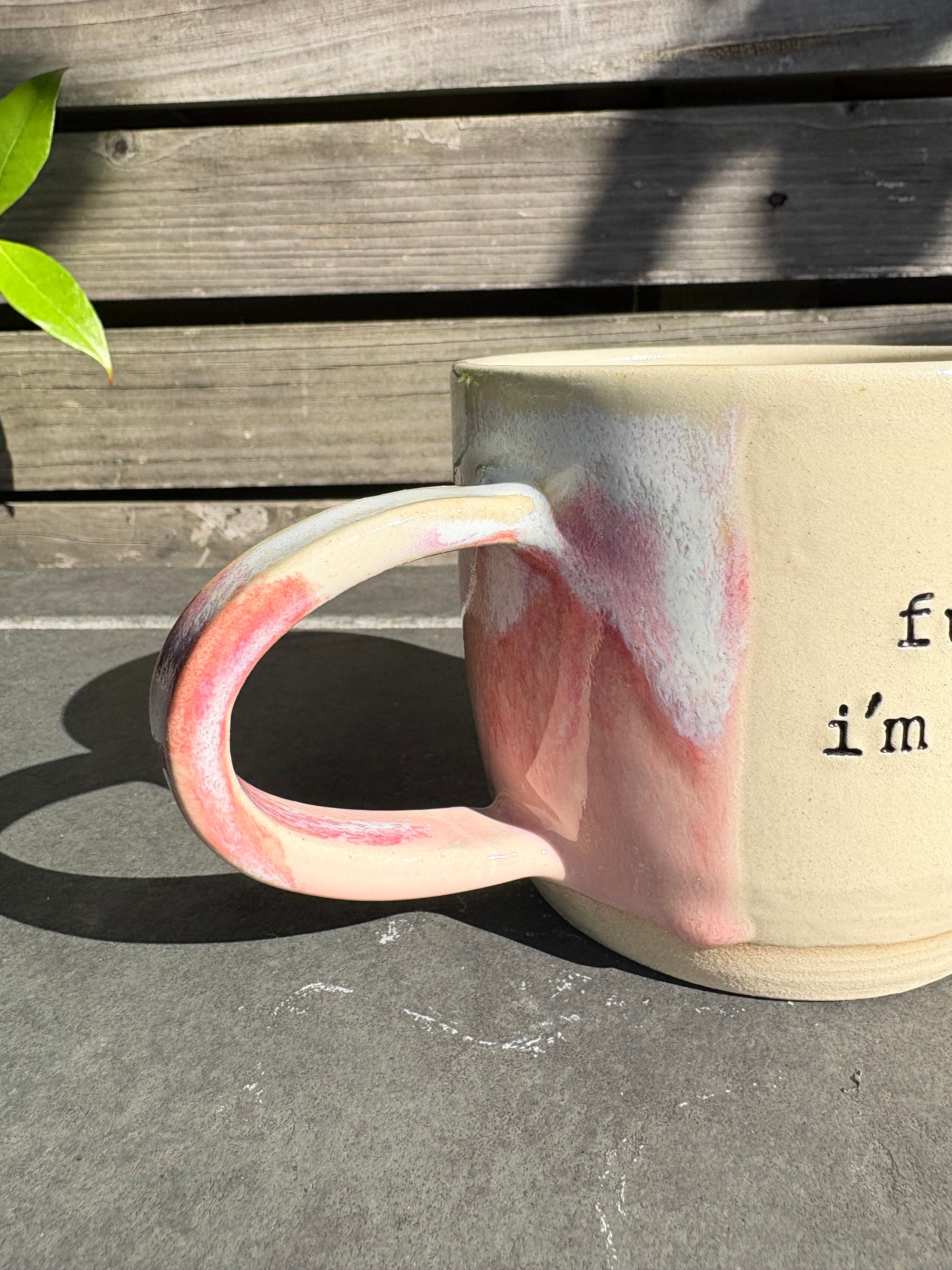 “Fuck off i'm reading" mug (Pink Raspberry Ripple)