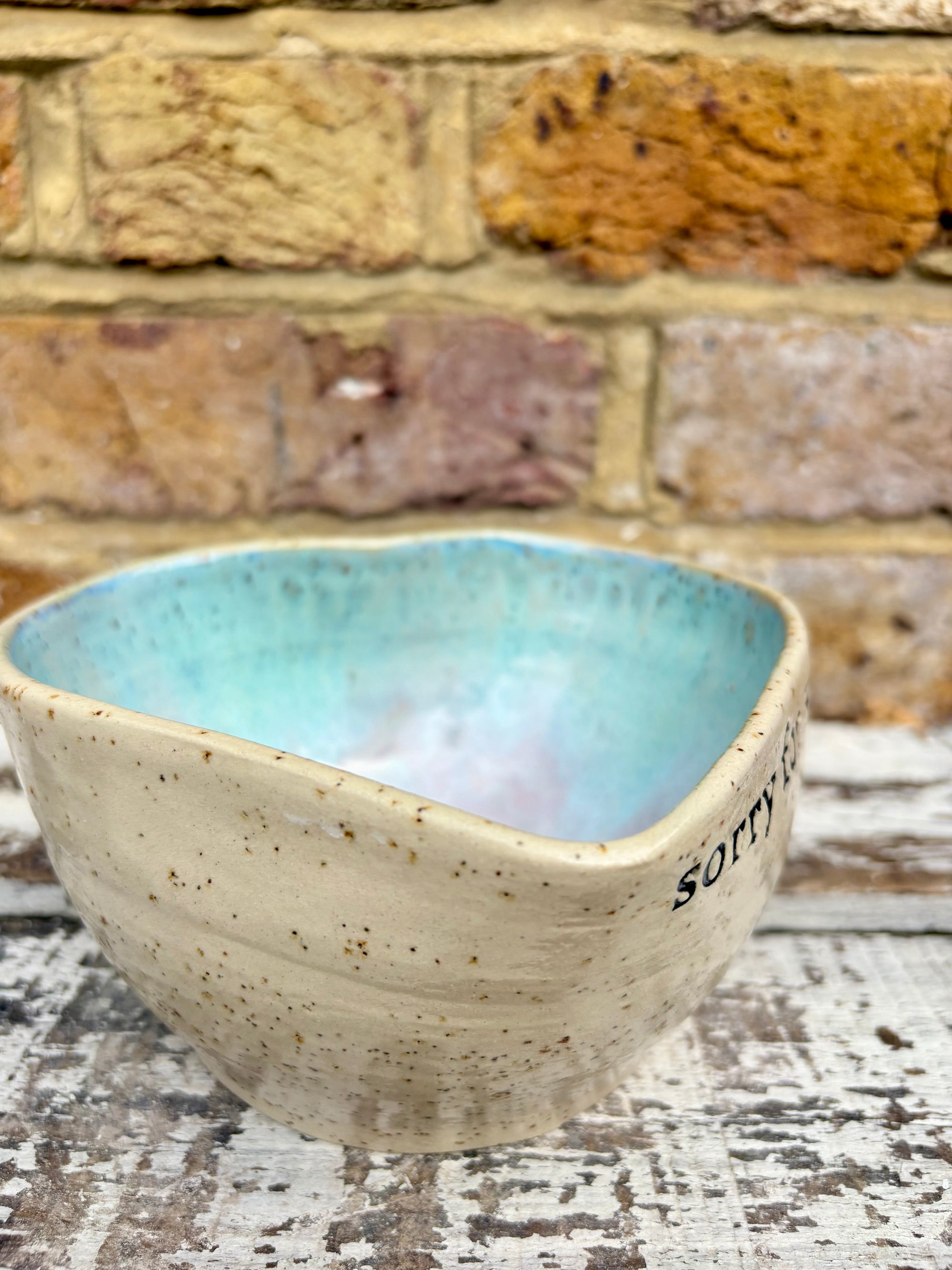 "I'm sorry for what I said when I was hungry" bowl (Pink Skies)