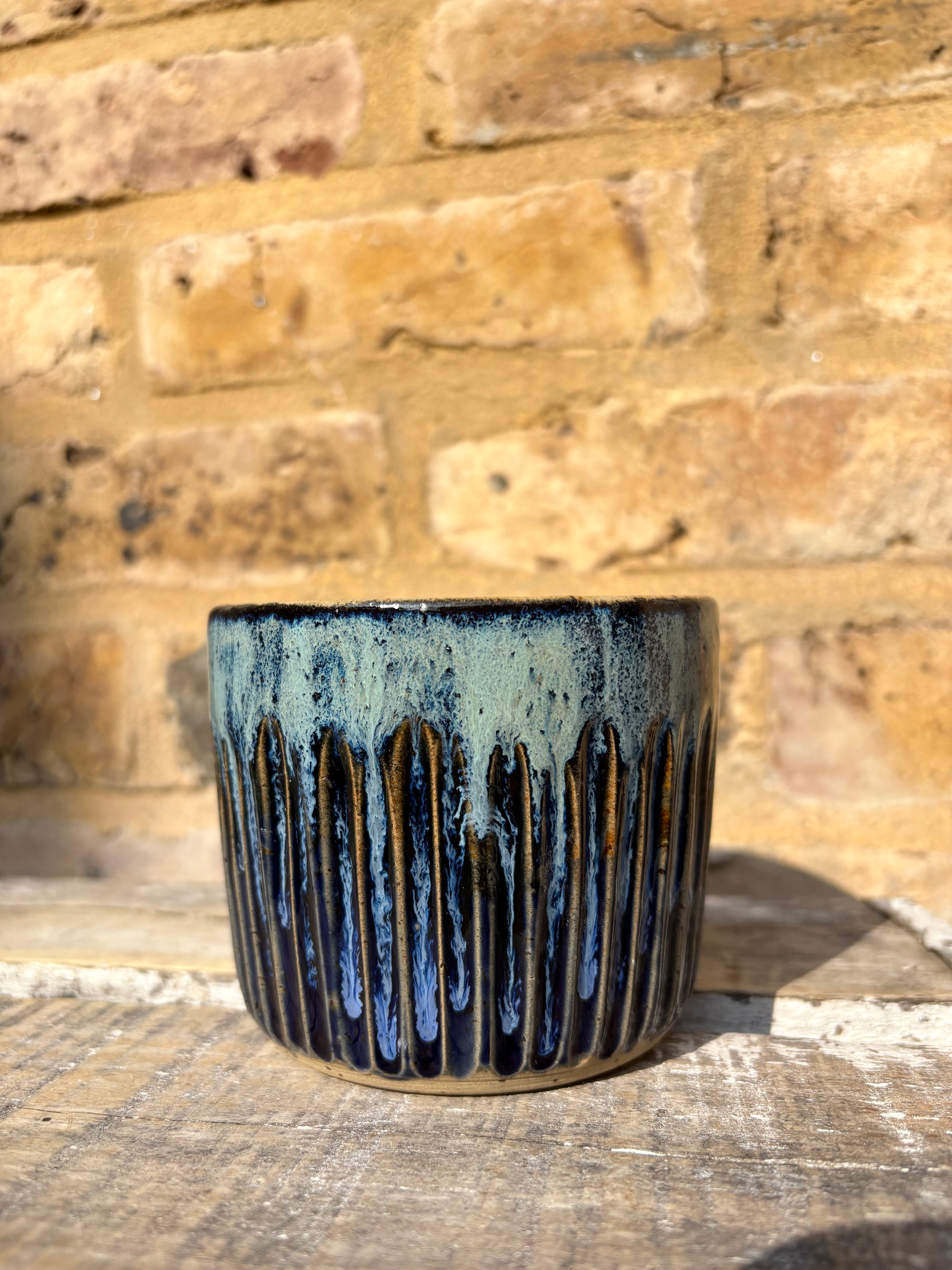 FML mug (blue shore)
