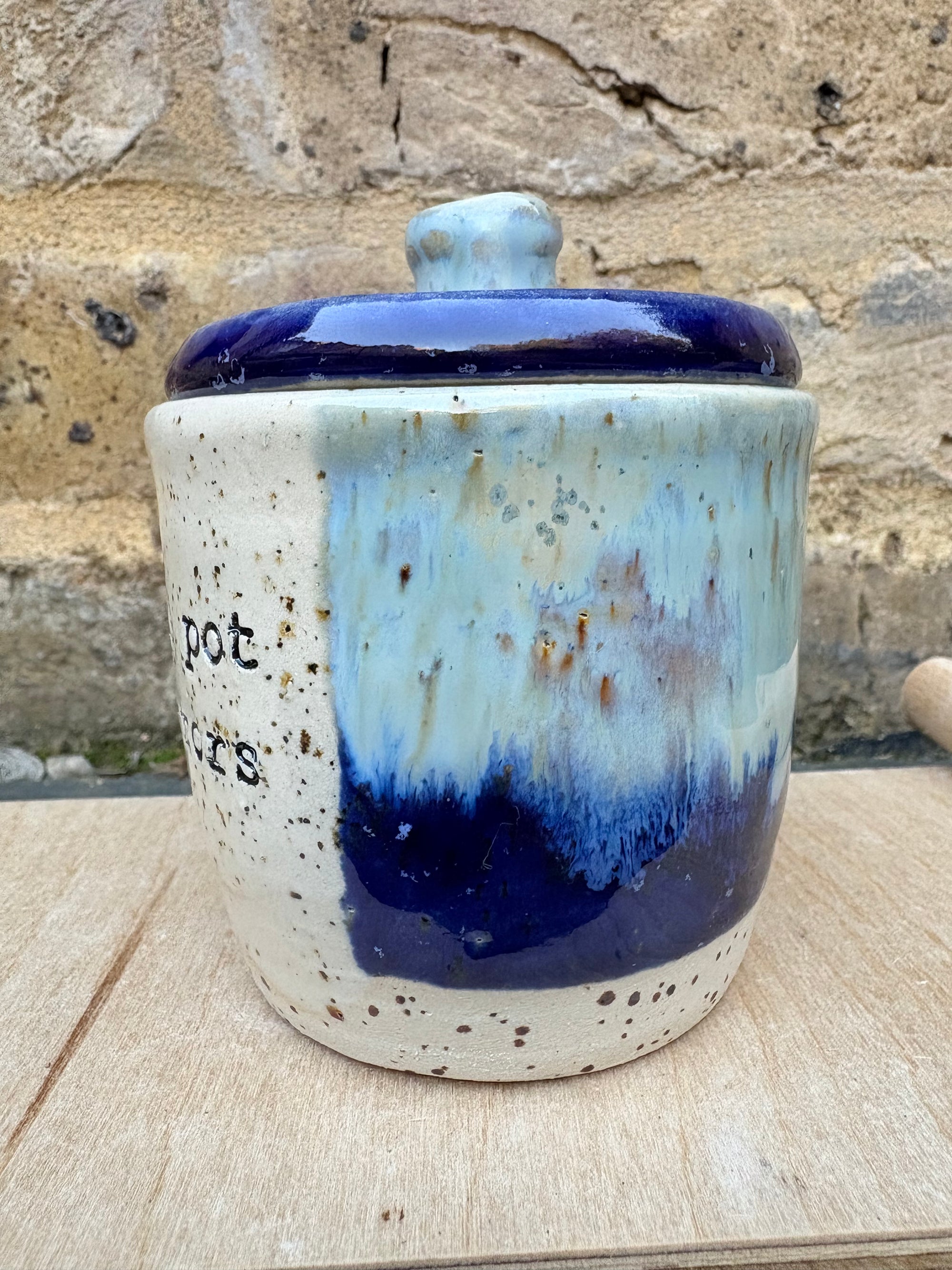 “little pot of horrors" lidded pot (blue night sky)