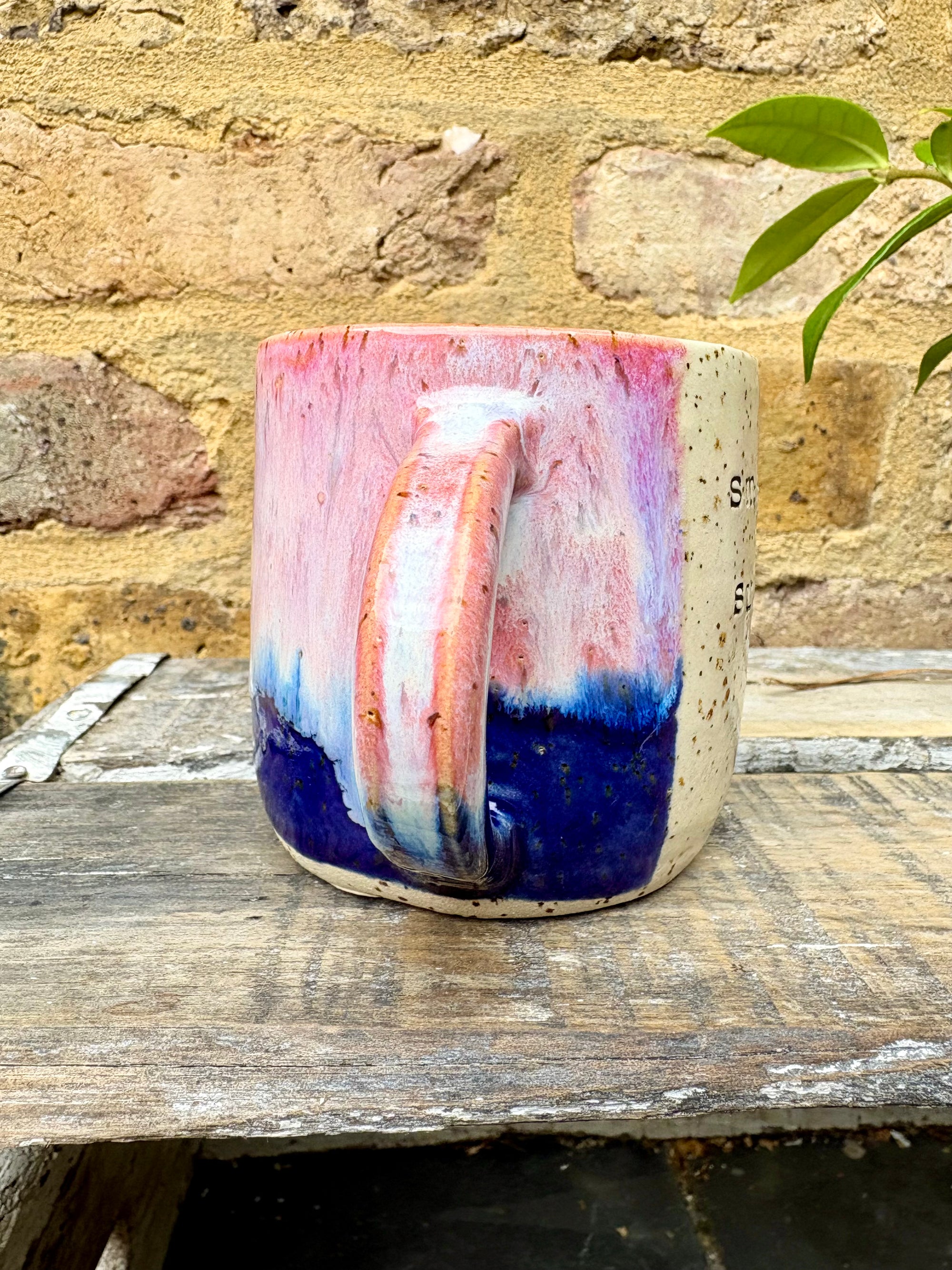Small Talk Survivor mug (pink/blue)