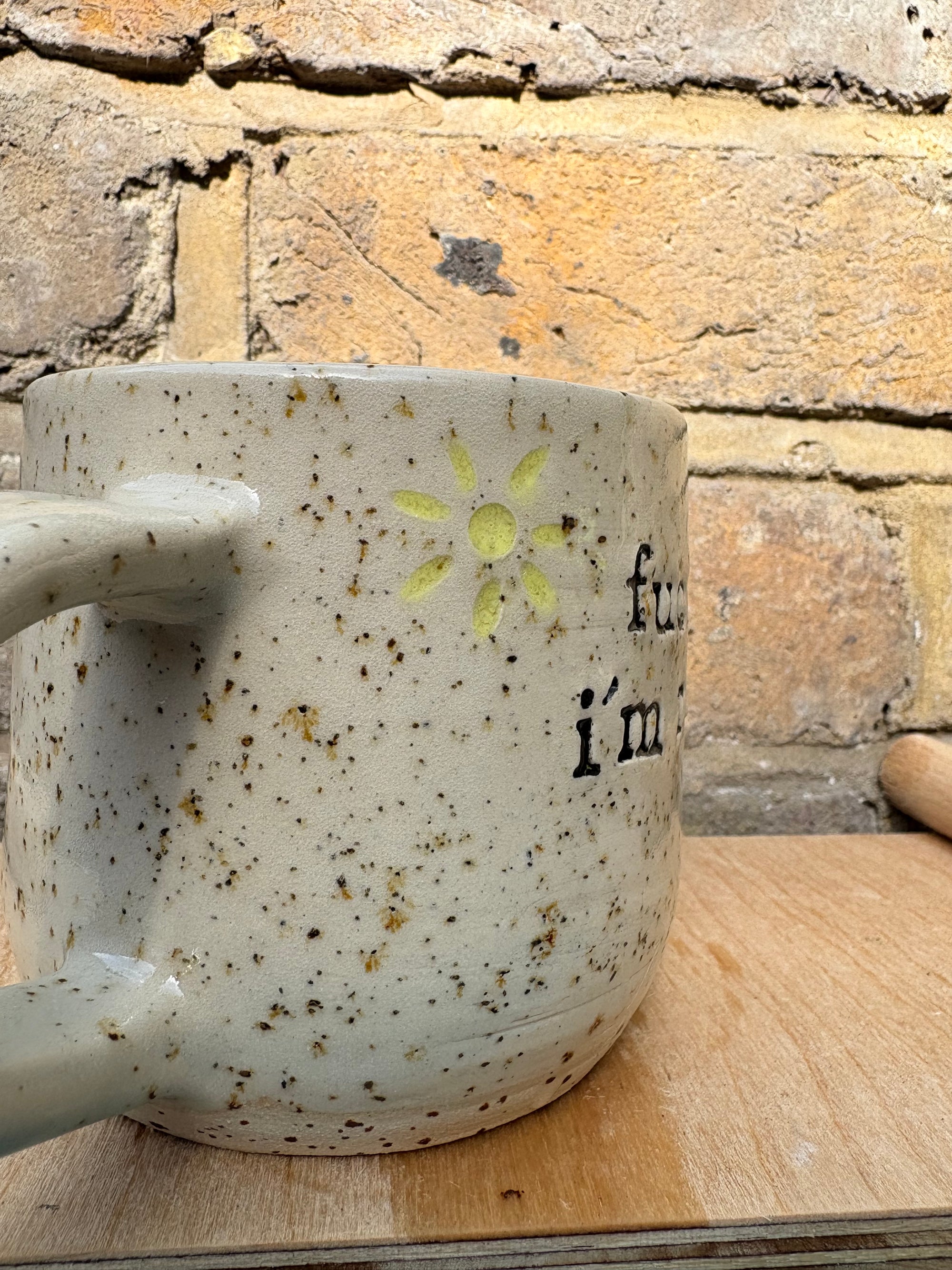 “Fuck off i'm reading" mug (five suns)