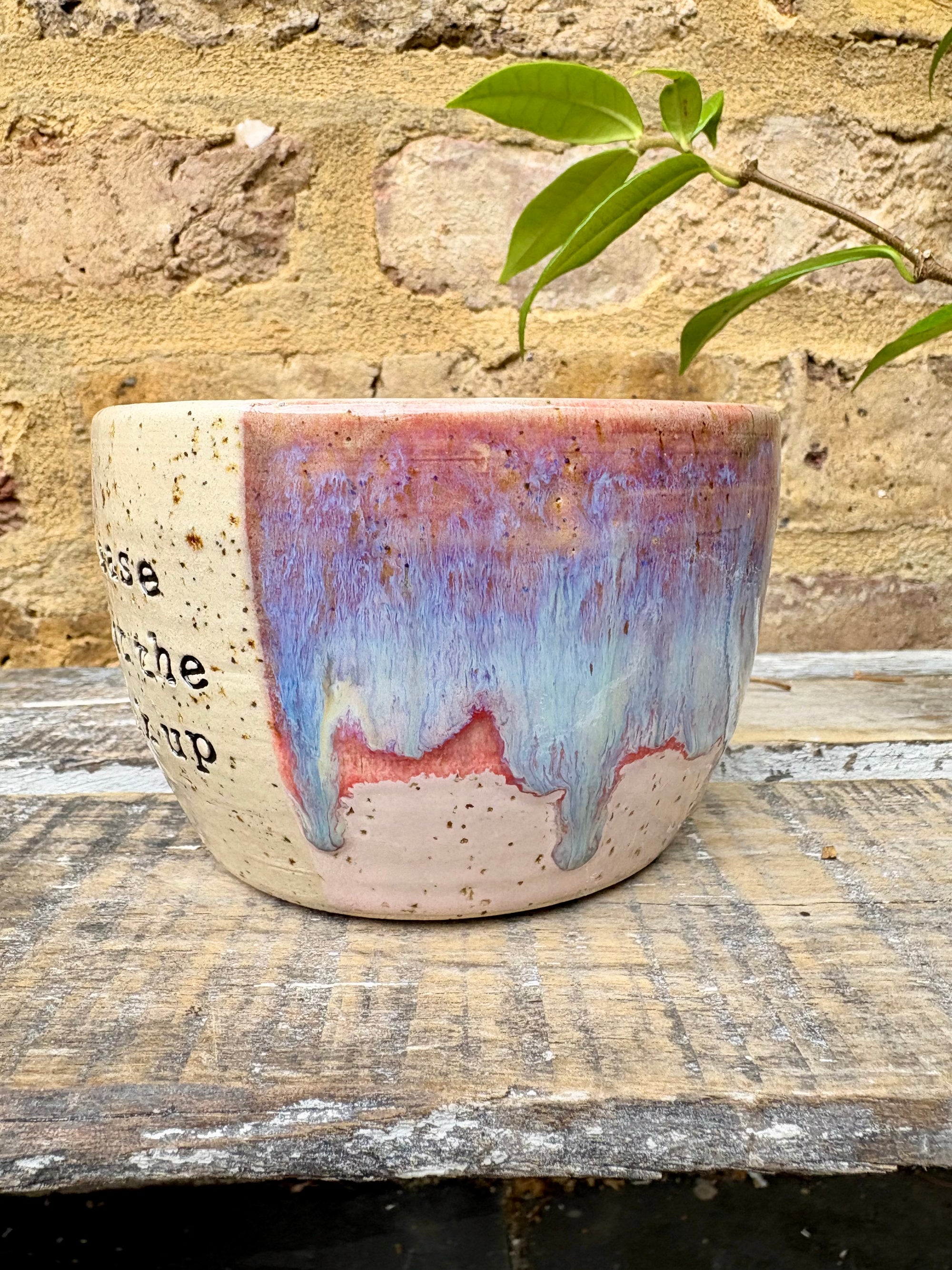 "please shut the fuck up" mug (Purple)