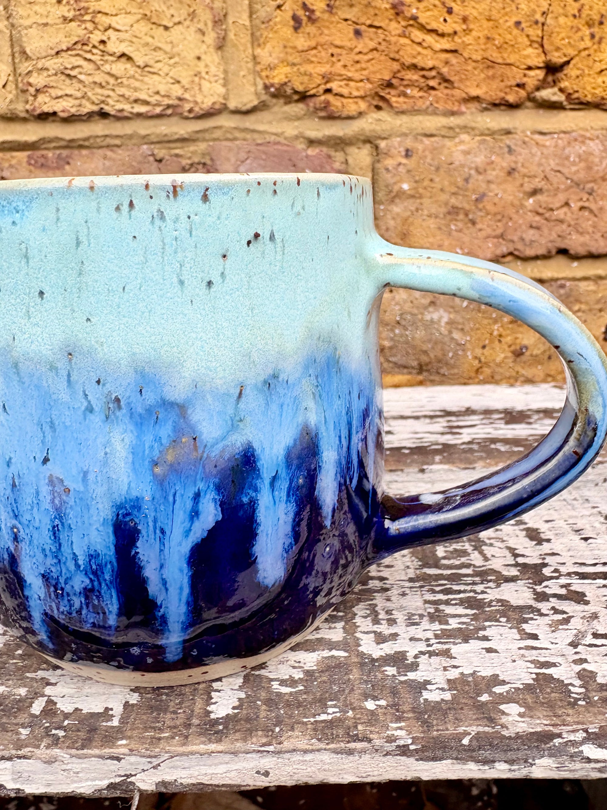 "cute but bat shit" mug