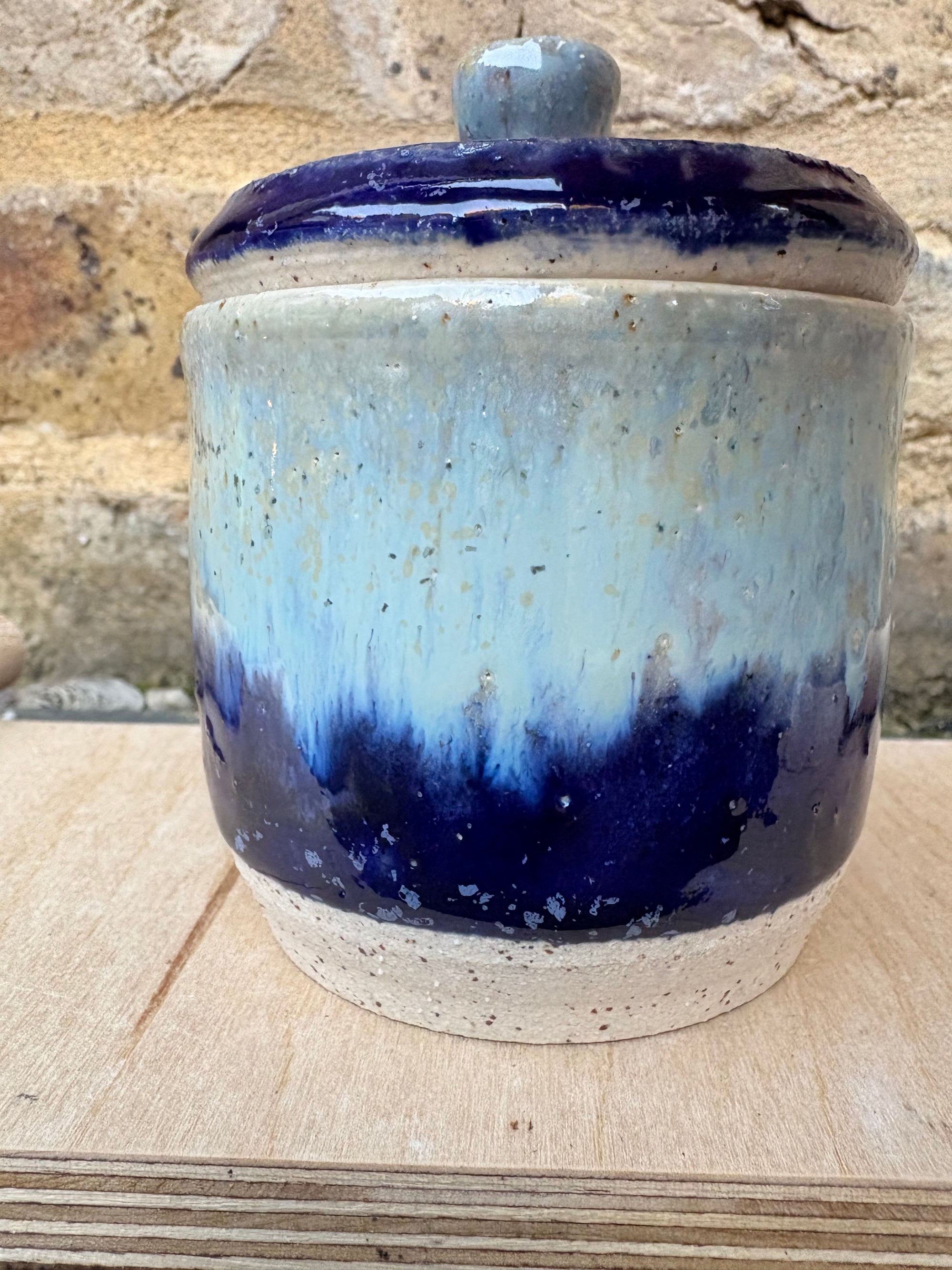 “little pot of horrors" lidded pot (blue night sky)