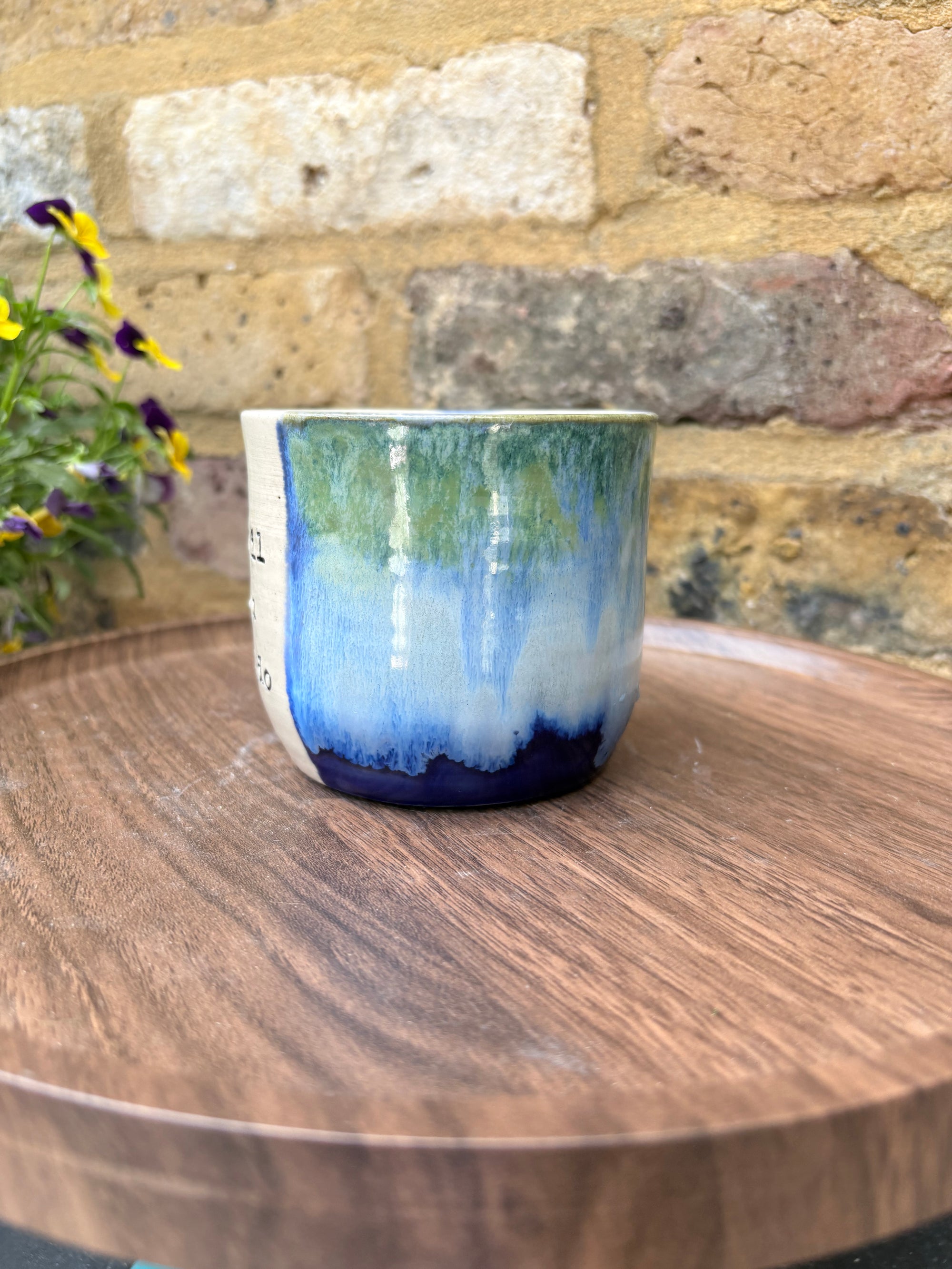 "I hope this email finds you before I do" mug (blue/ green)