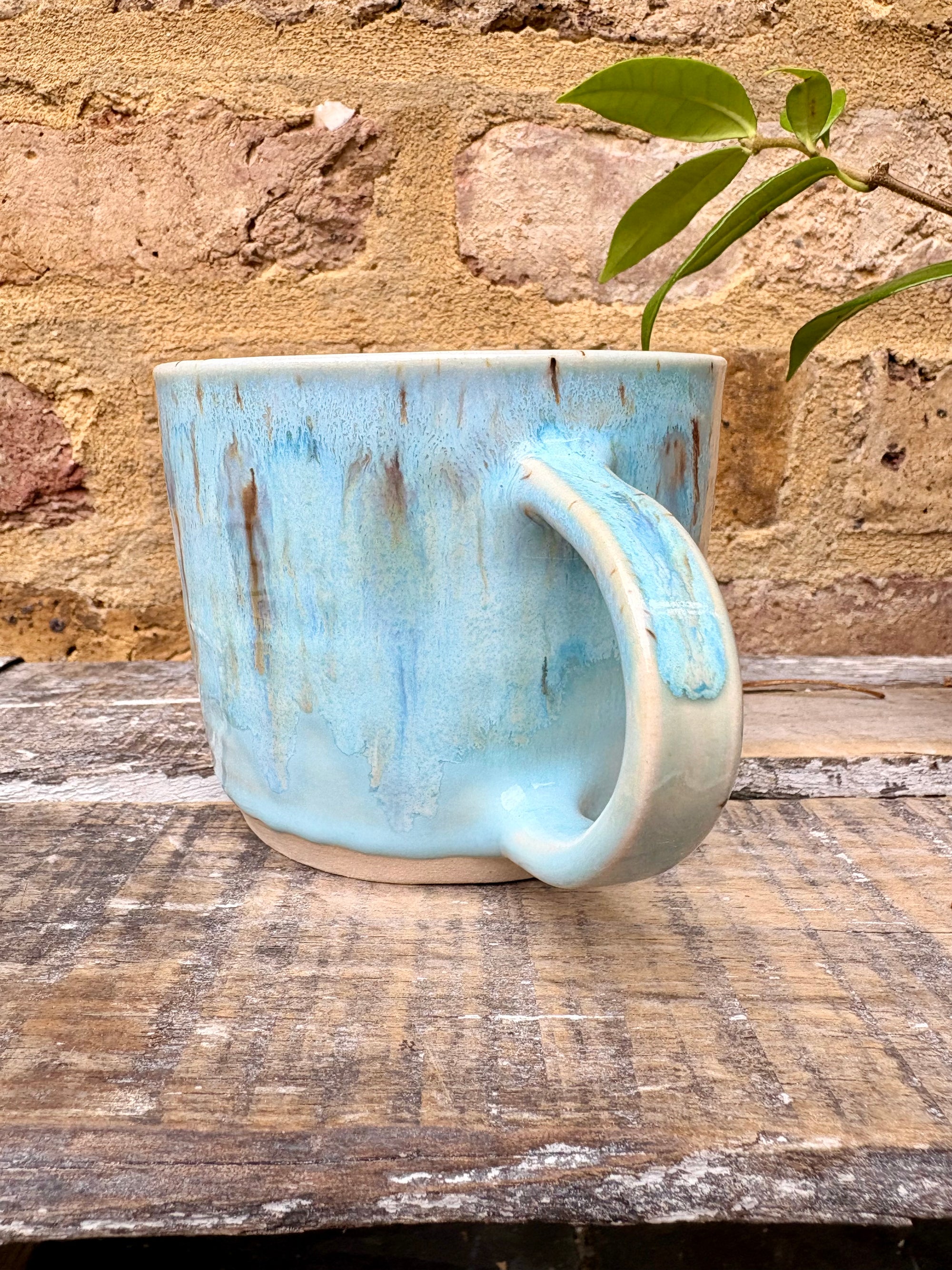 "not a fucking hugger" mug (light blue)