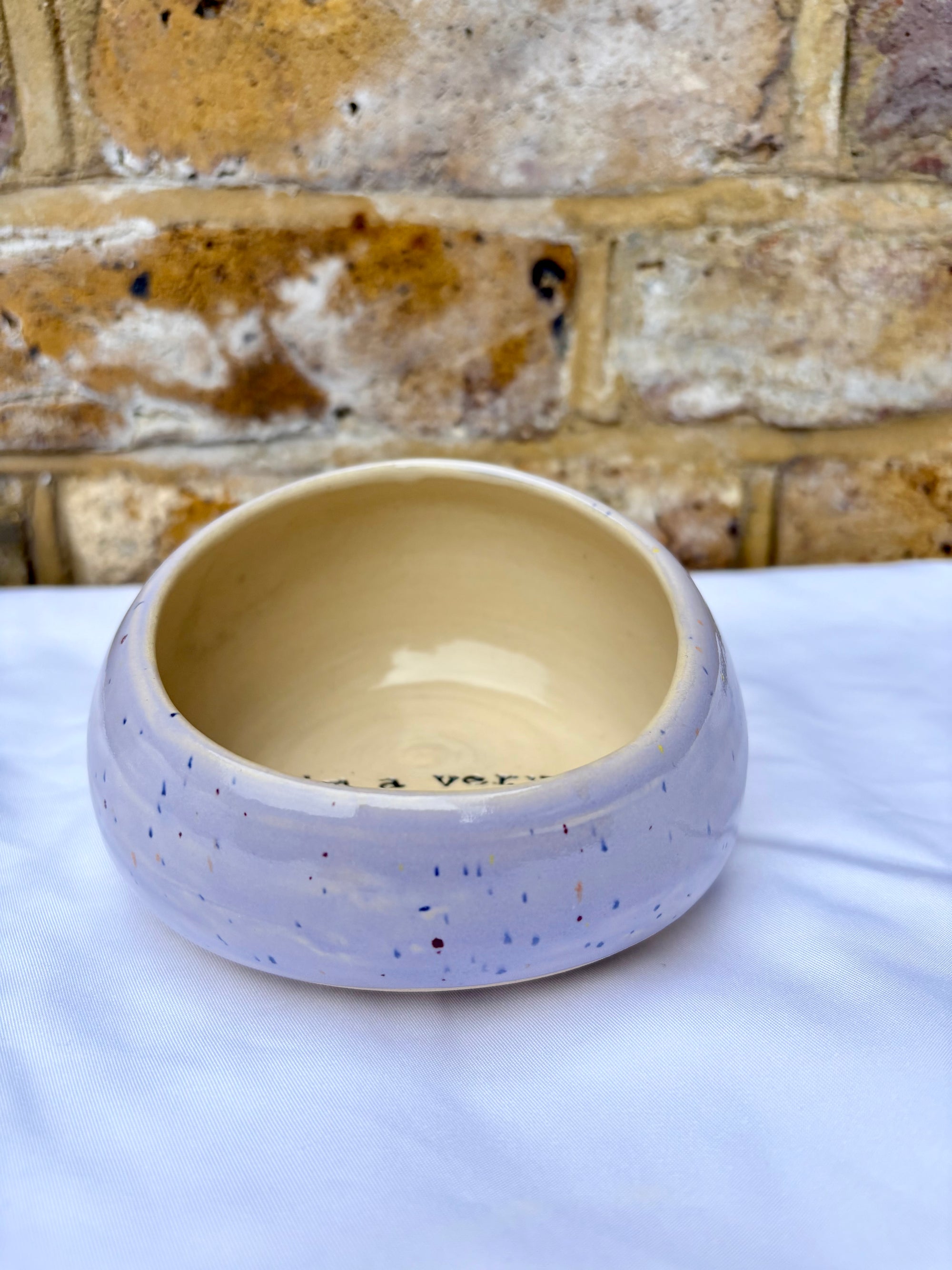 "I'm a very salty piggy" Salt Pig (wheelthrown, lilac speckle glaze)