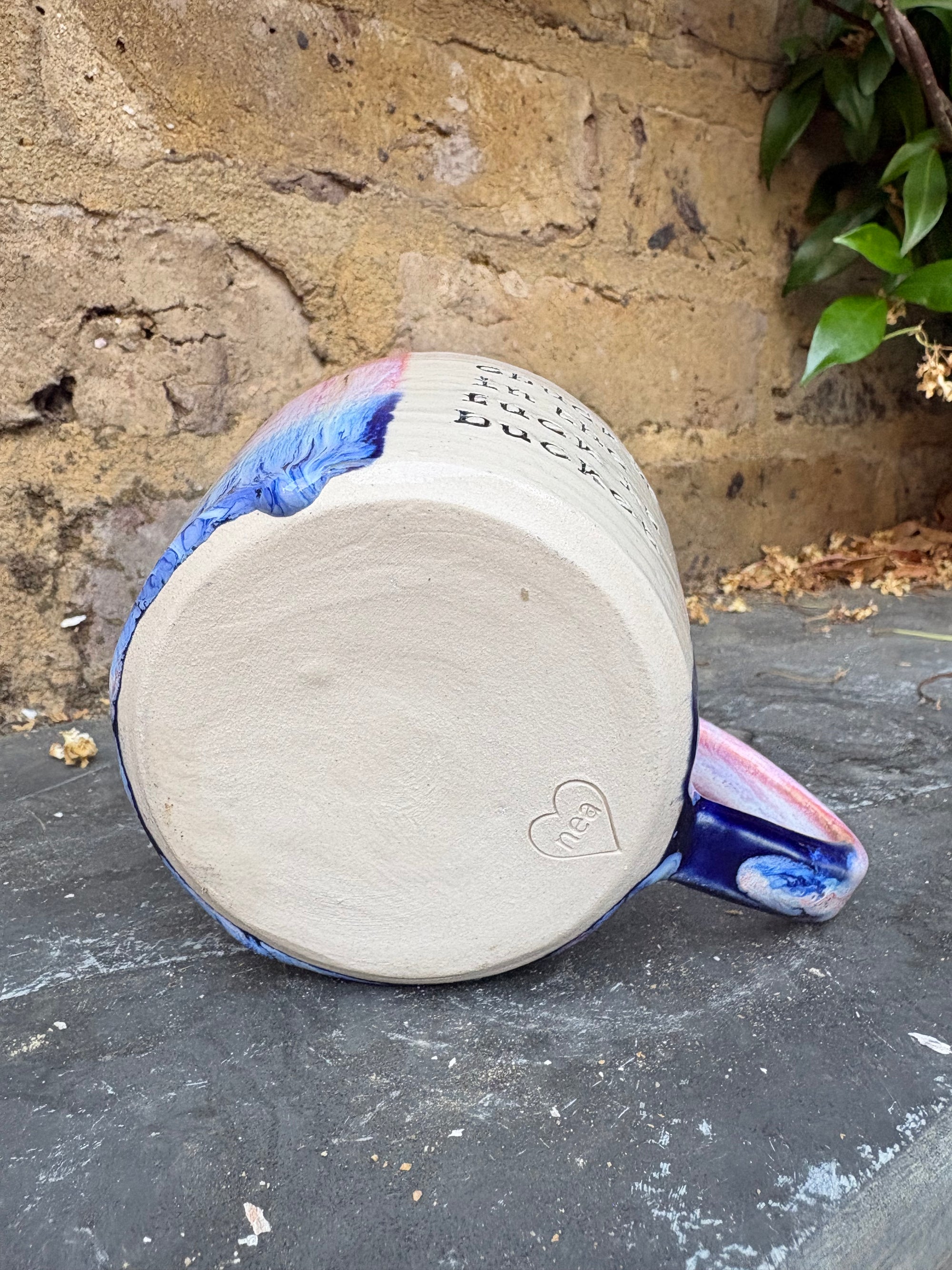 “chuck it in the fuck it bucket" mug (pink/blue, 250ml)