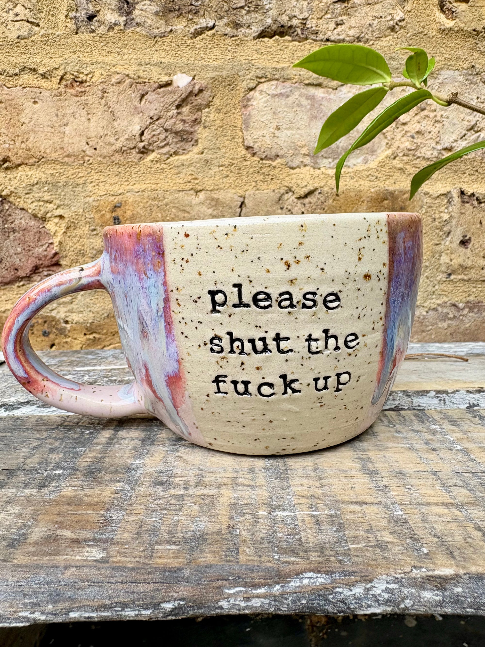 "please shut the fuck up" mug (Purple)