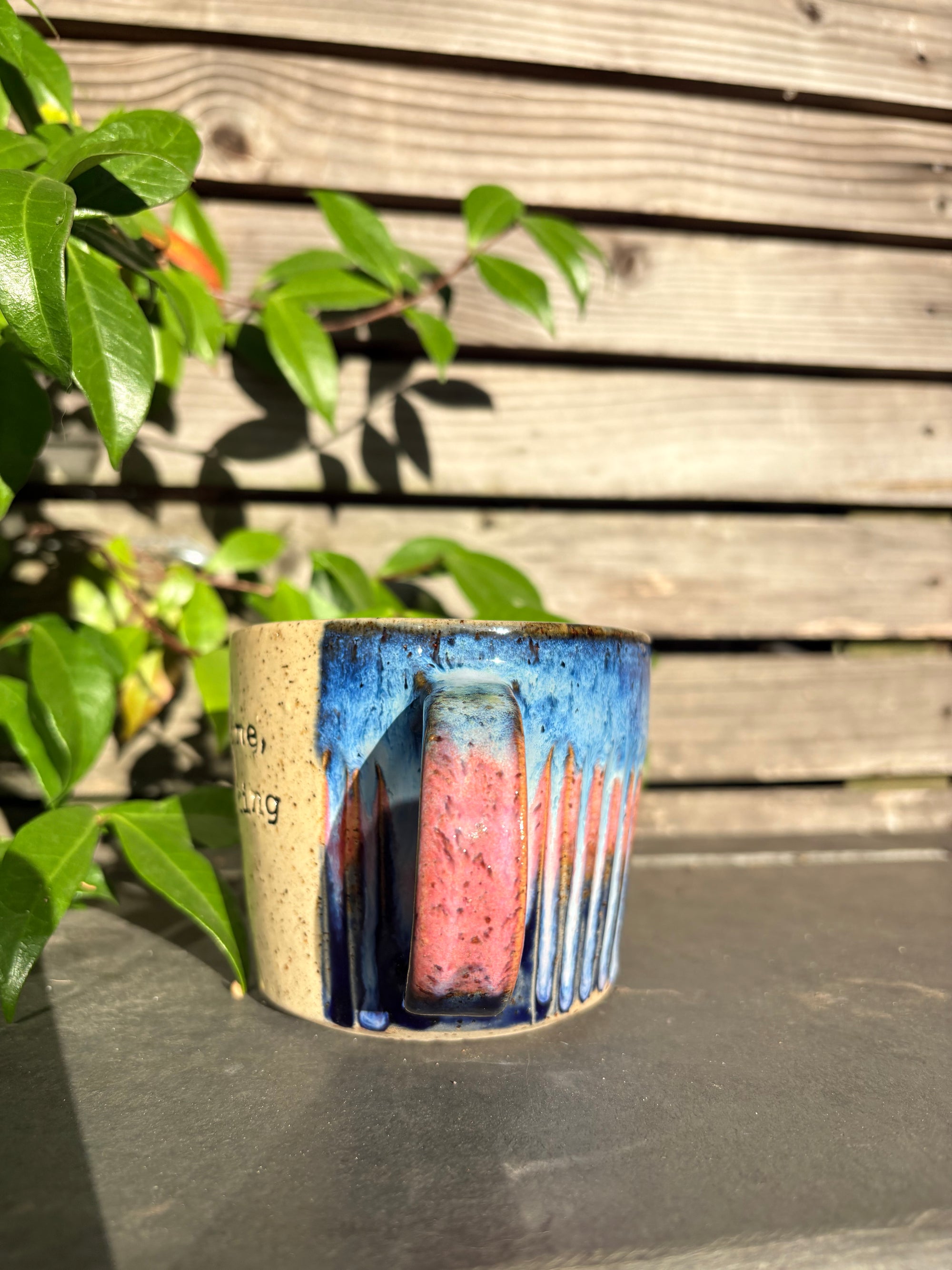 “It’s not me, it’s fucking you” blue/pink, 350ml)