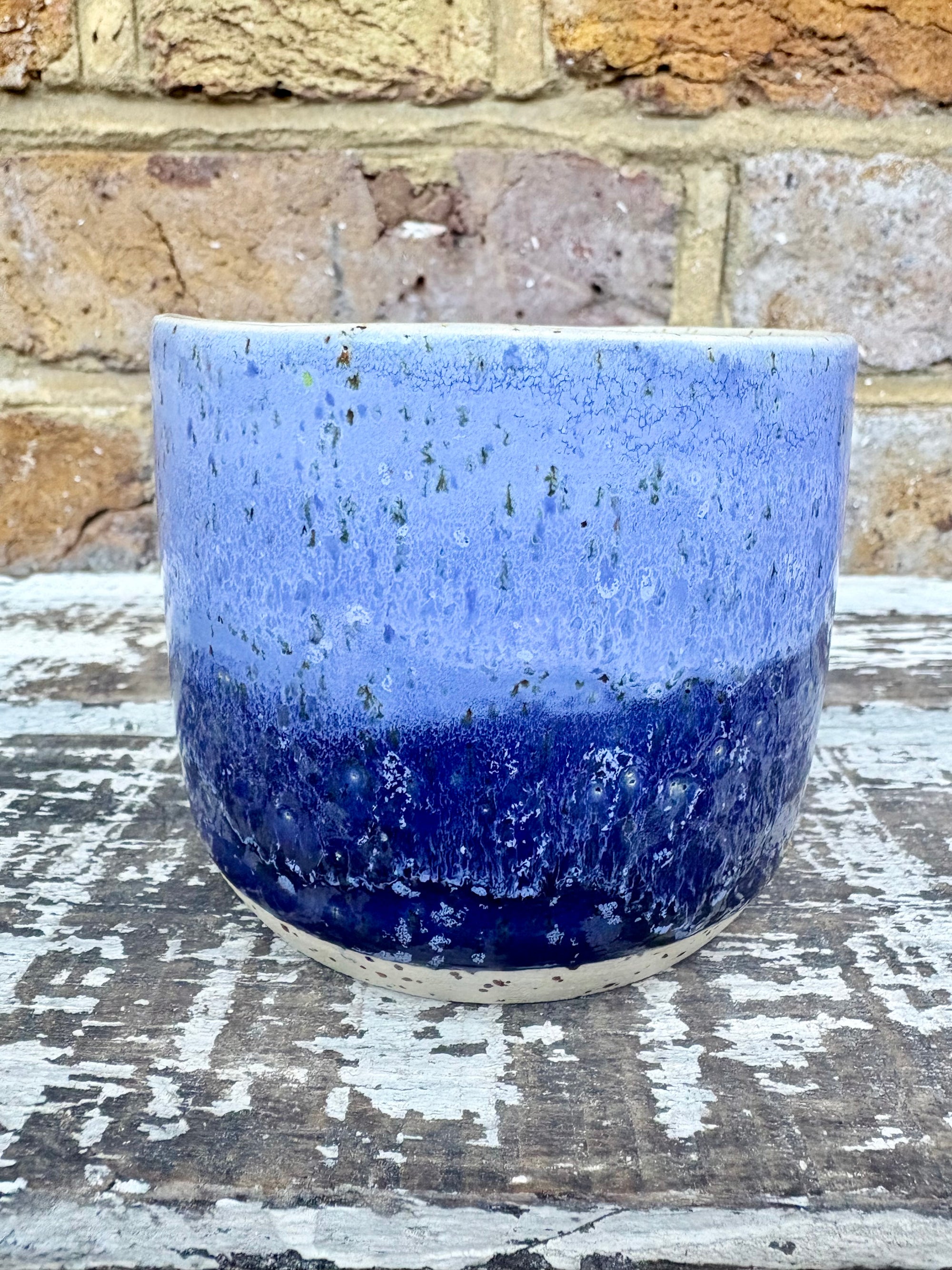 "bellend fuckwit dickwad dipshit wanker" mug (Blues)