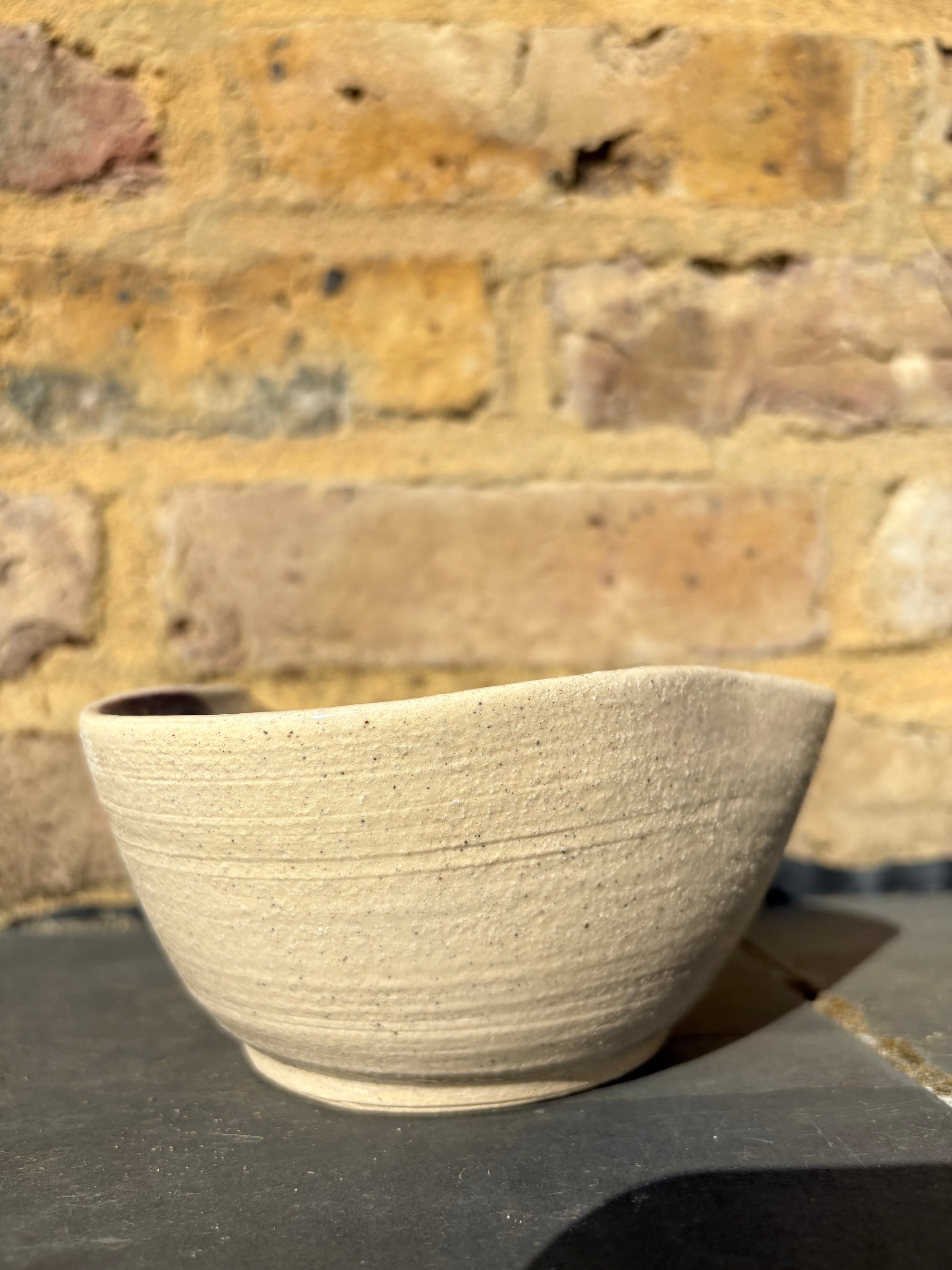 "small talk survivor" bowl (purple)