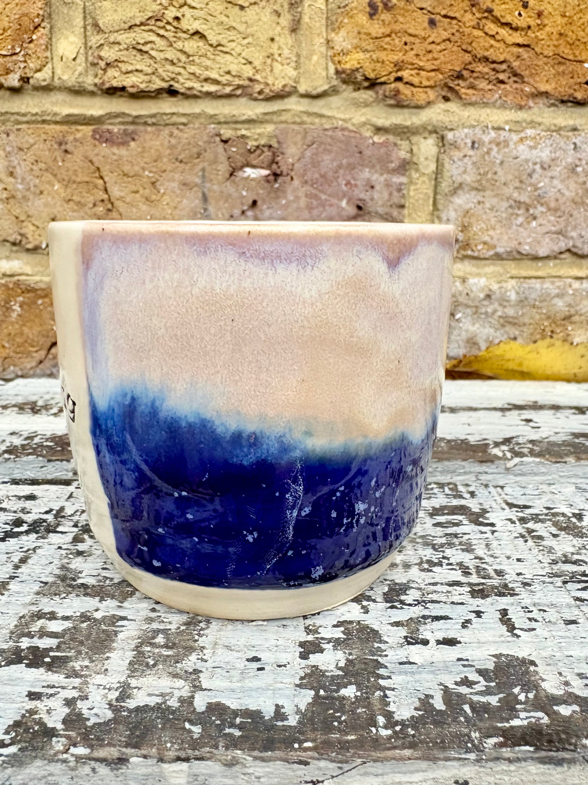 “Fuck off i'm dreaming" mug (Blue Night Sky)