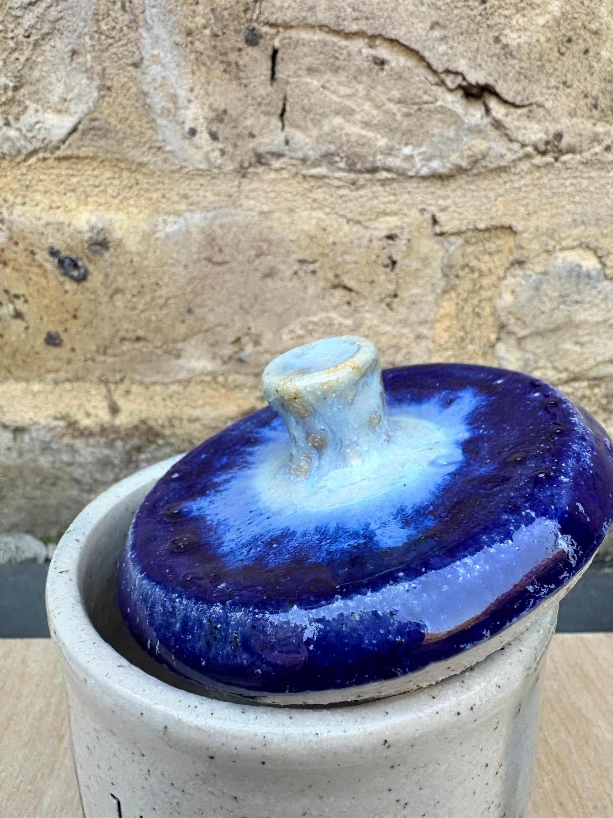 “little pot of horrors" lidded pot (blue night sky)