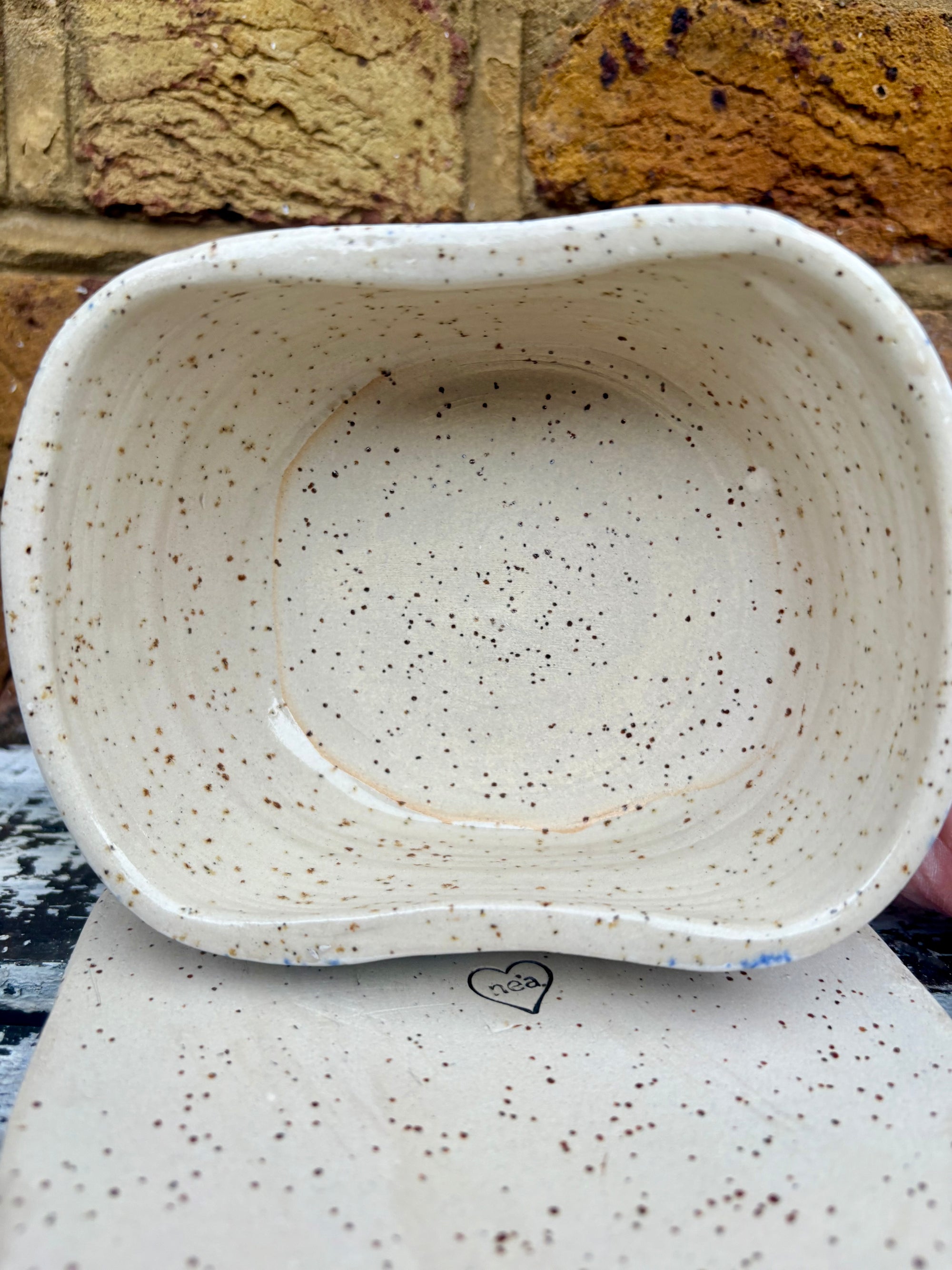 Butter Dish (butter slut, speckle blue)