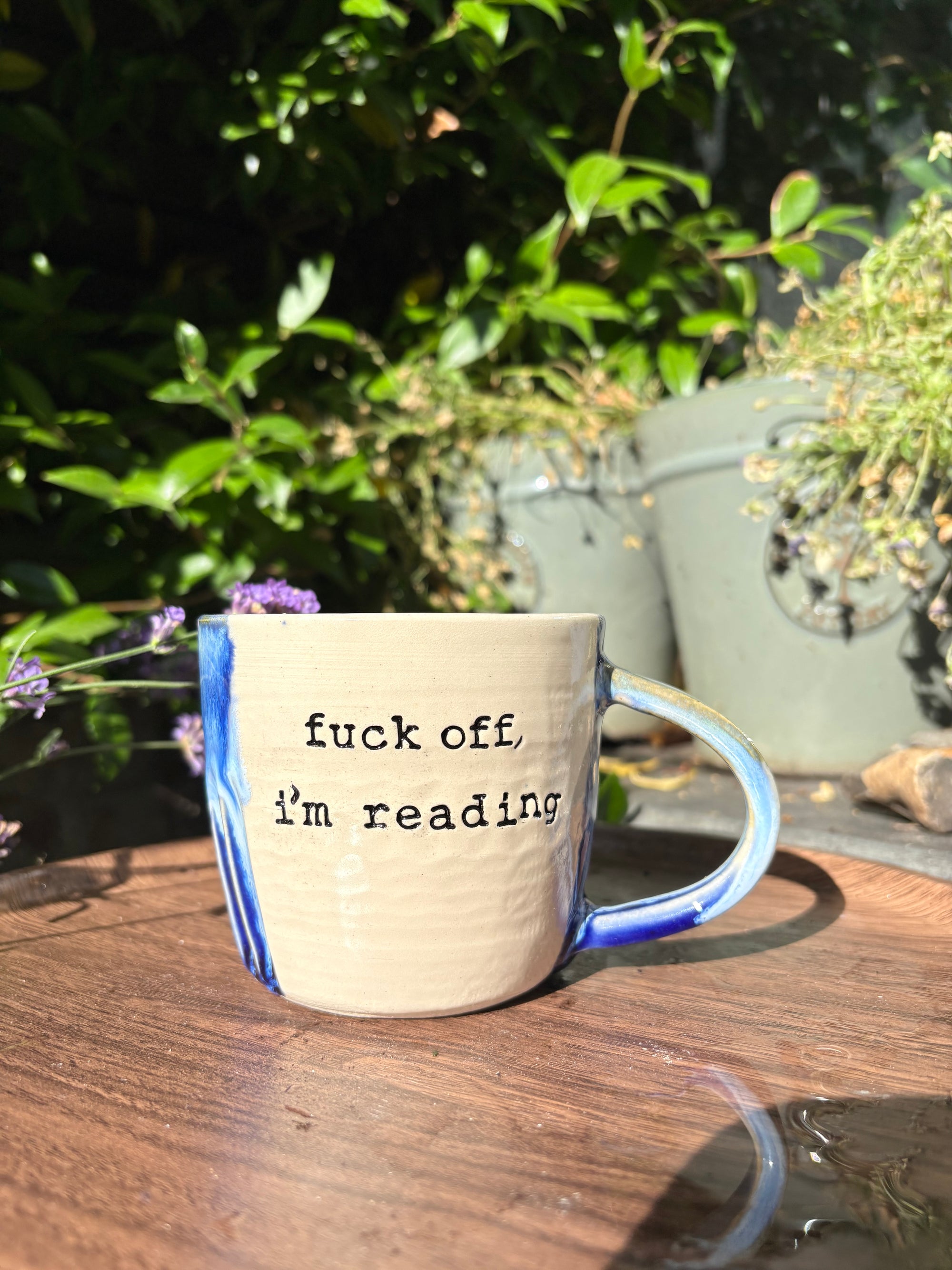 “Fuck off i'm reading" mug (blues)