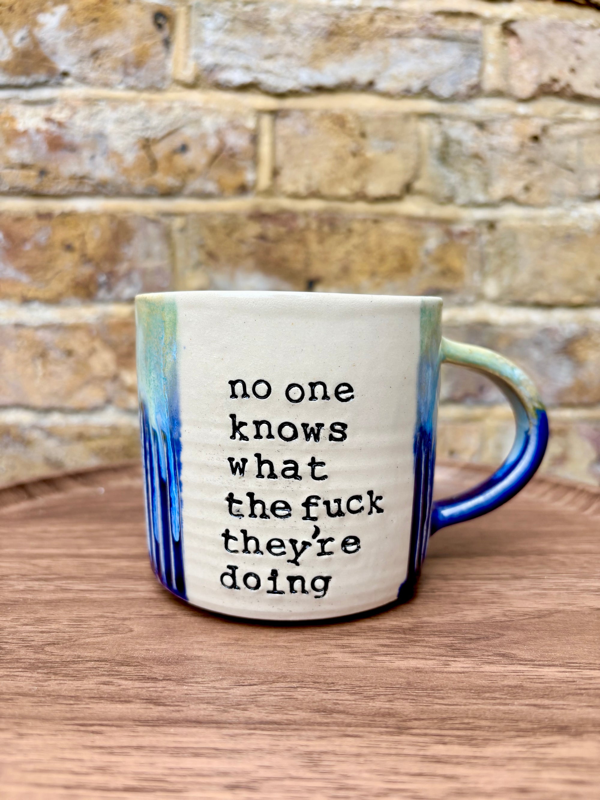 "no one knows what the fuck they're doing" mug (320ml, blue/green)