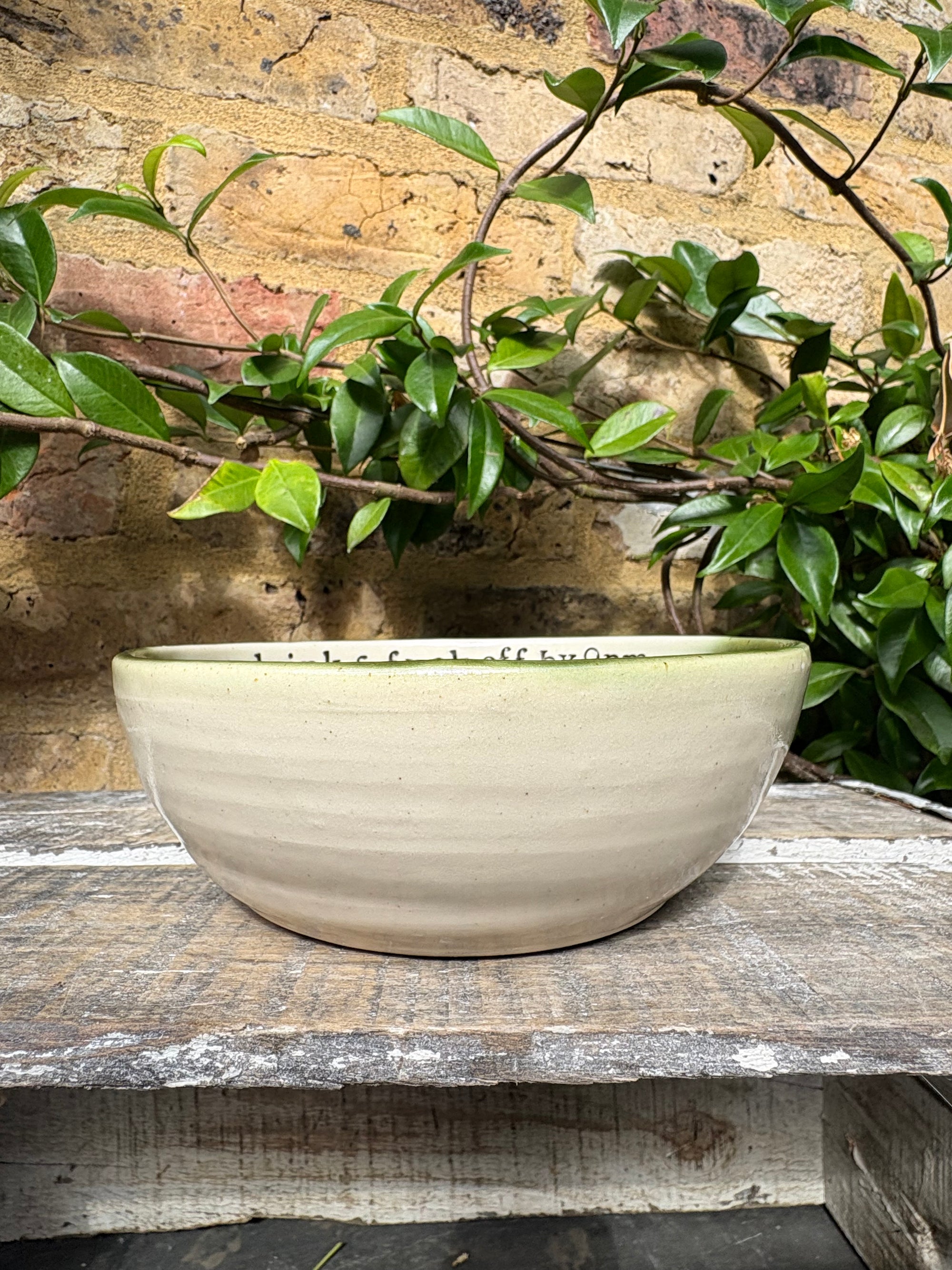 “eat, drink and fuck off by 9pm"  deep round salad/pasta bowl (green, cream clay)